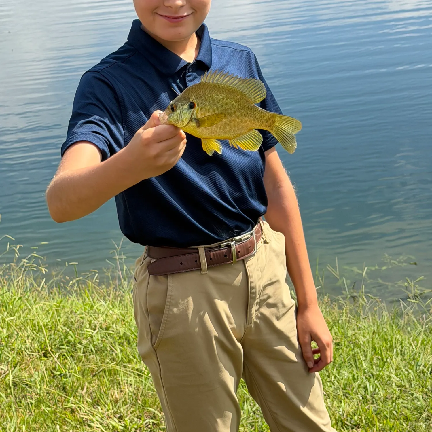 Redear sunfish caught on Fishbrain