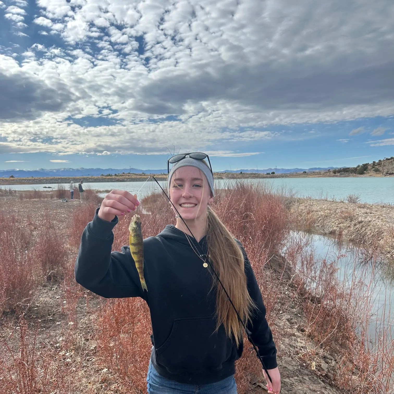 The most recent Yellow perch catches on Fishbrain