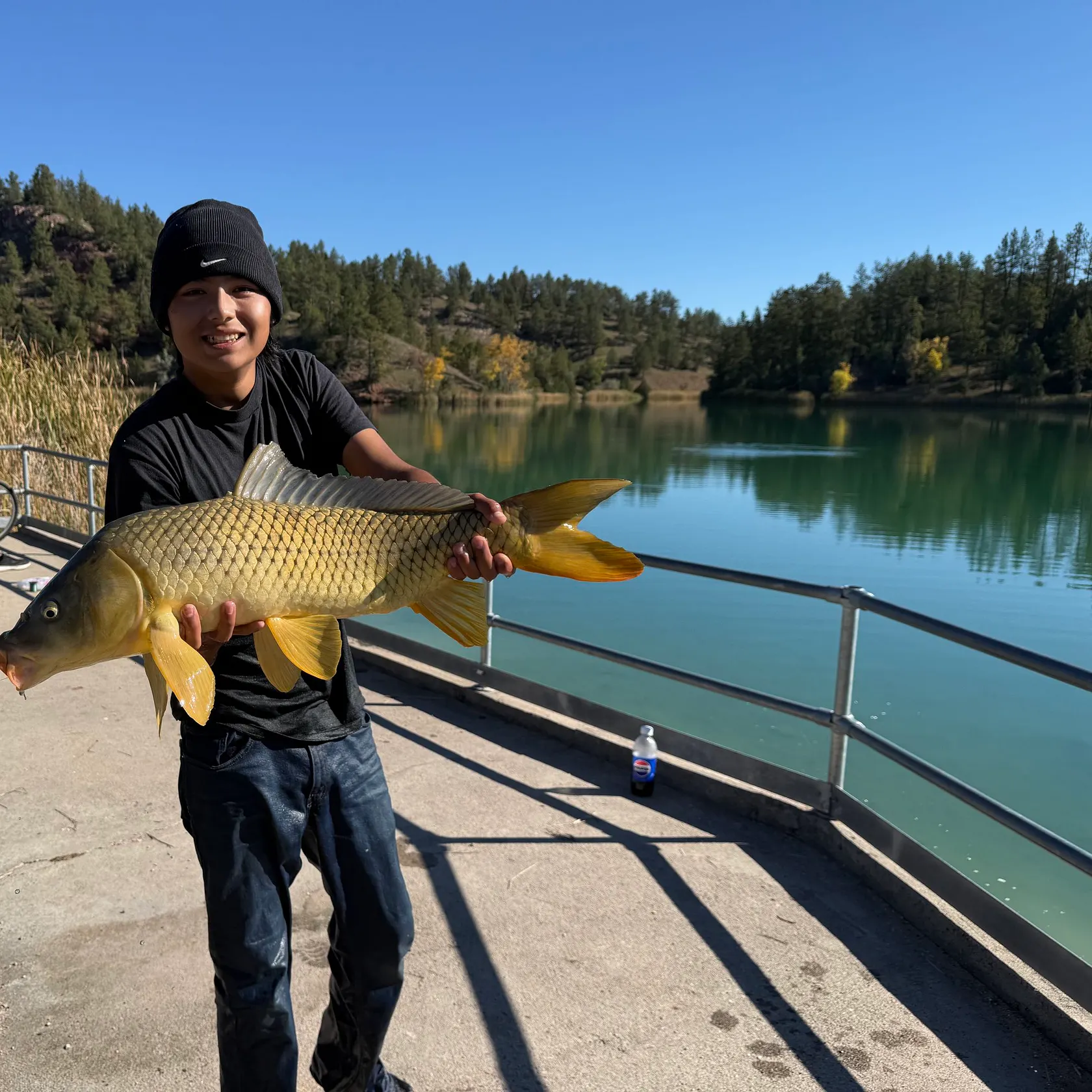 Common carp caught on Fishbrain