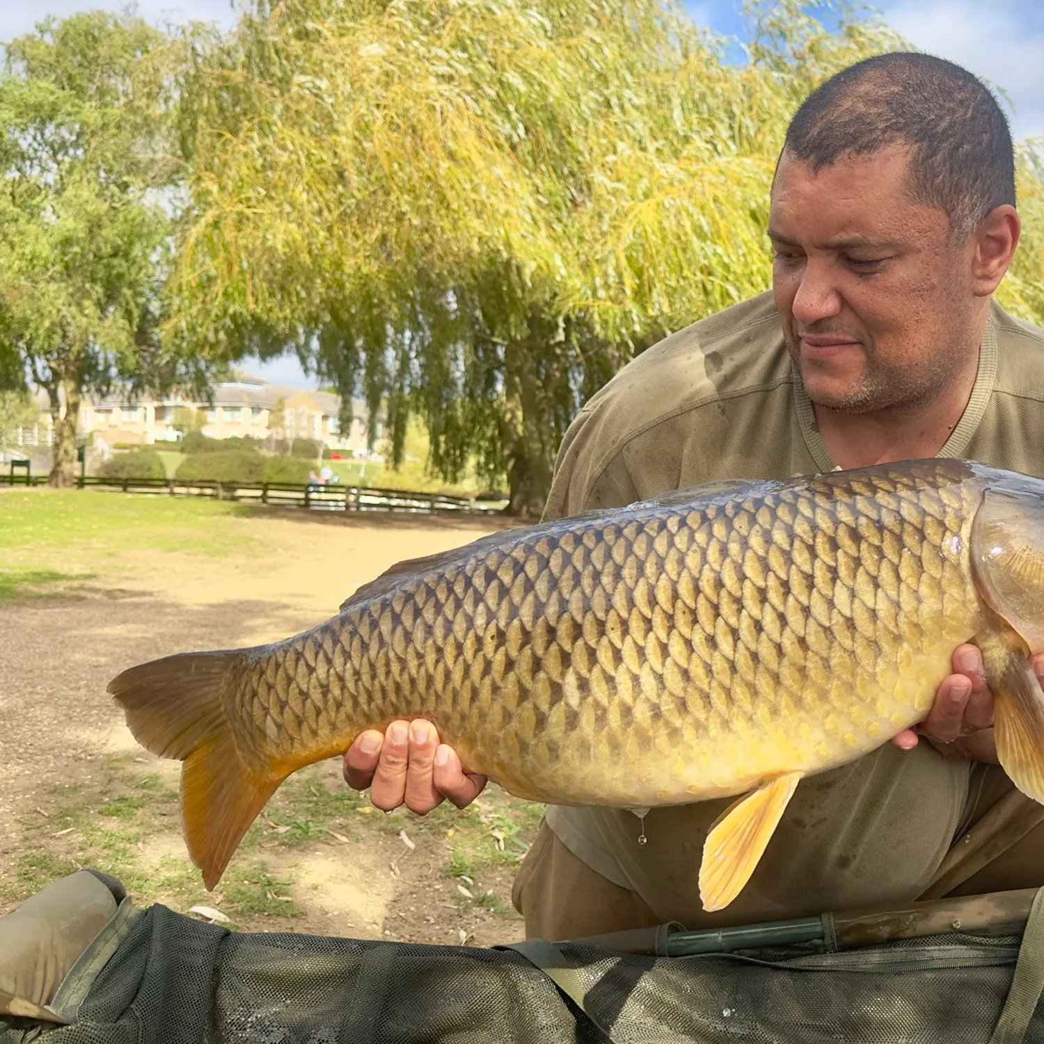Common carp caught on Fishbrain