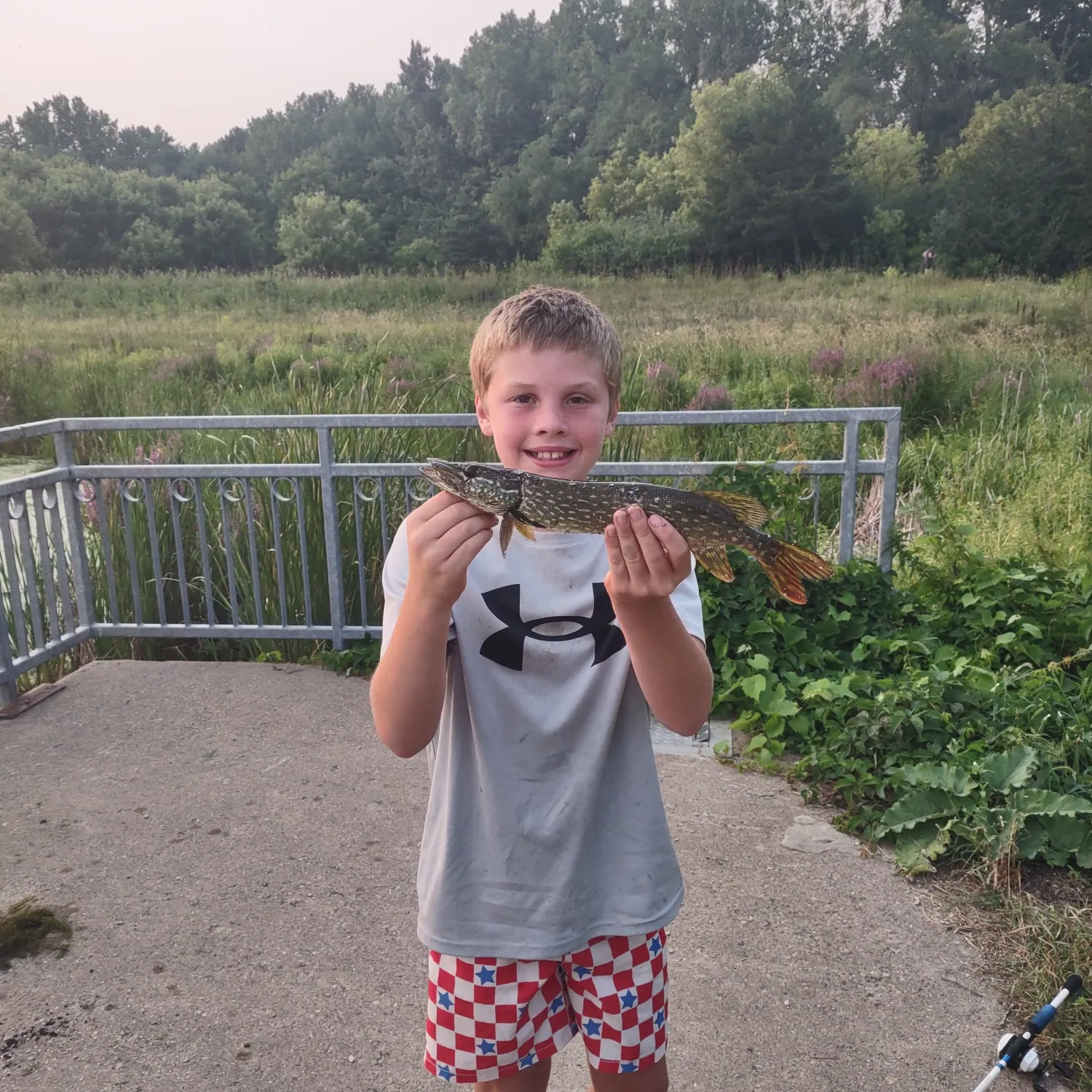 Northern pike caught on Fishbrain