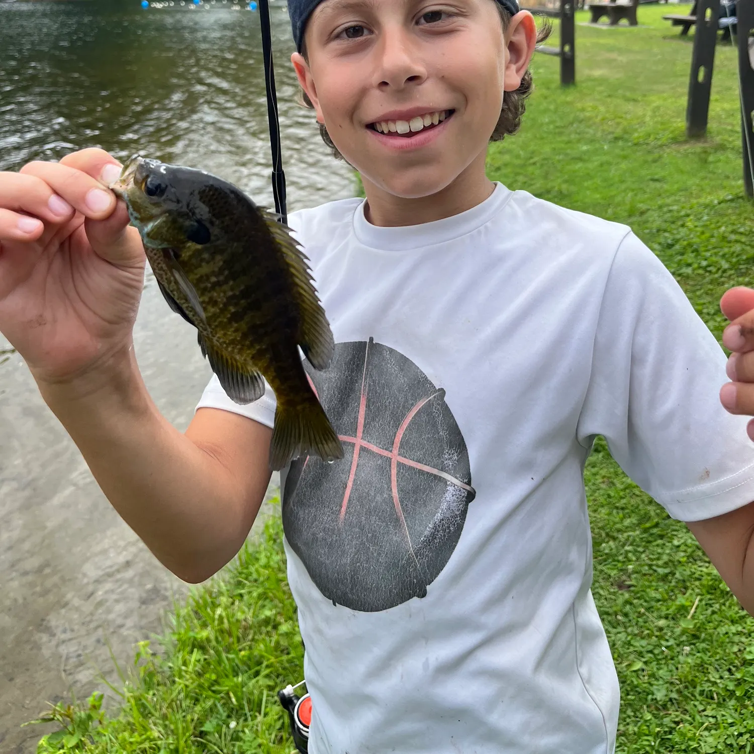 The most recent Wargill hybrid catches on Fishbrain