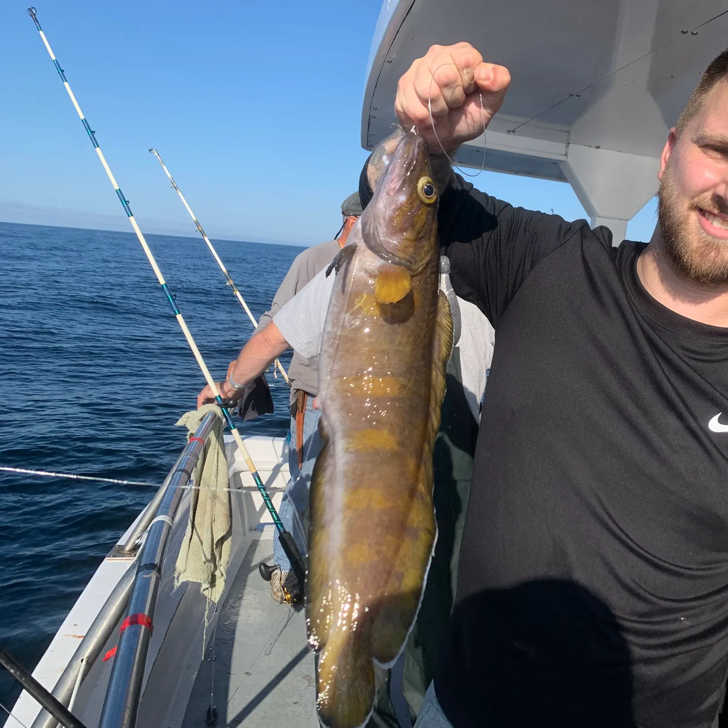 Cusk caught on Fishbrain