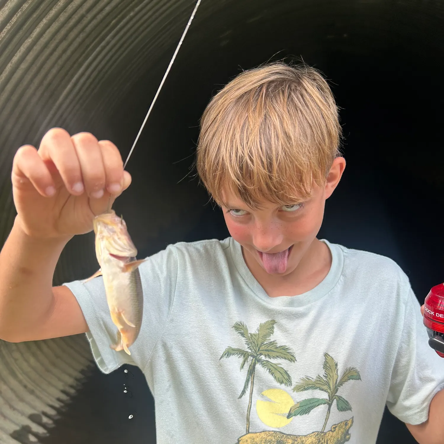 Creek chub caught on Fishbrain