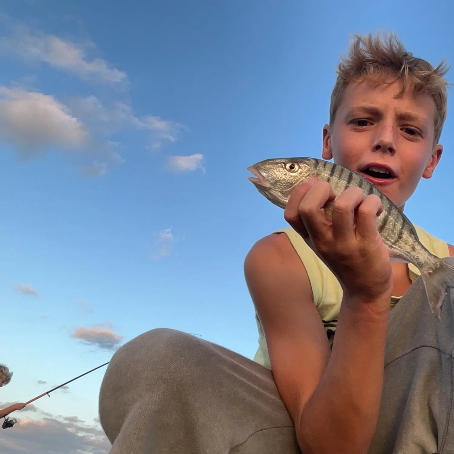 Striped seabream caught on Fishbrain