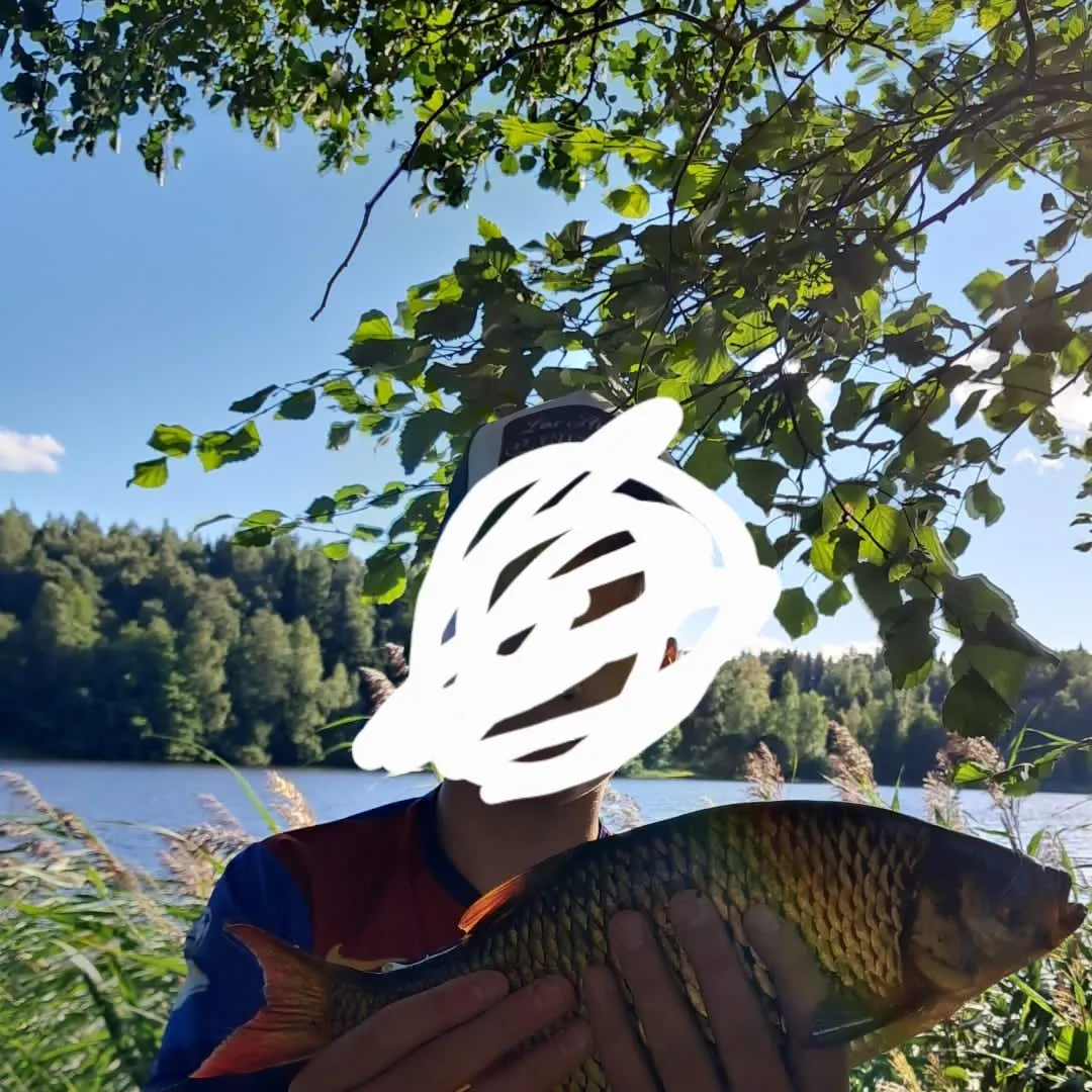 The most recent Common rudd catches on Fishbrain