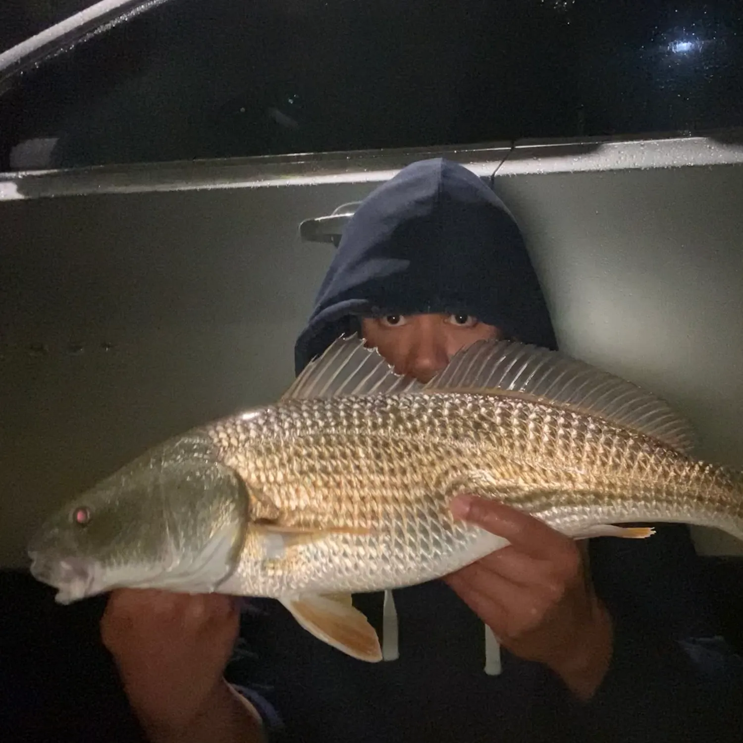 The most recent Red drum catches on Fishbrain