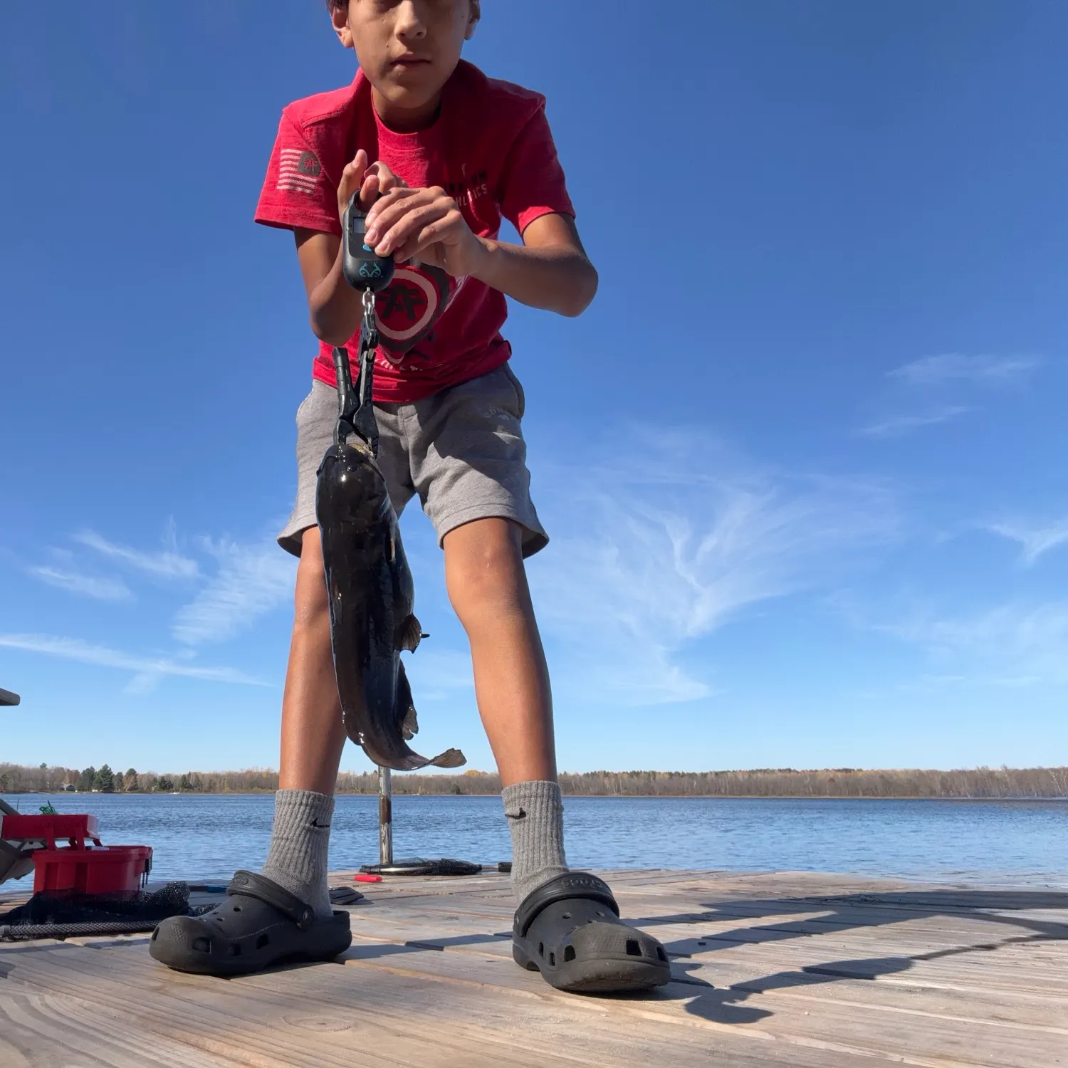 Black bullhead caught on Fishbrain
