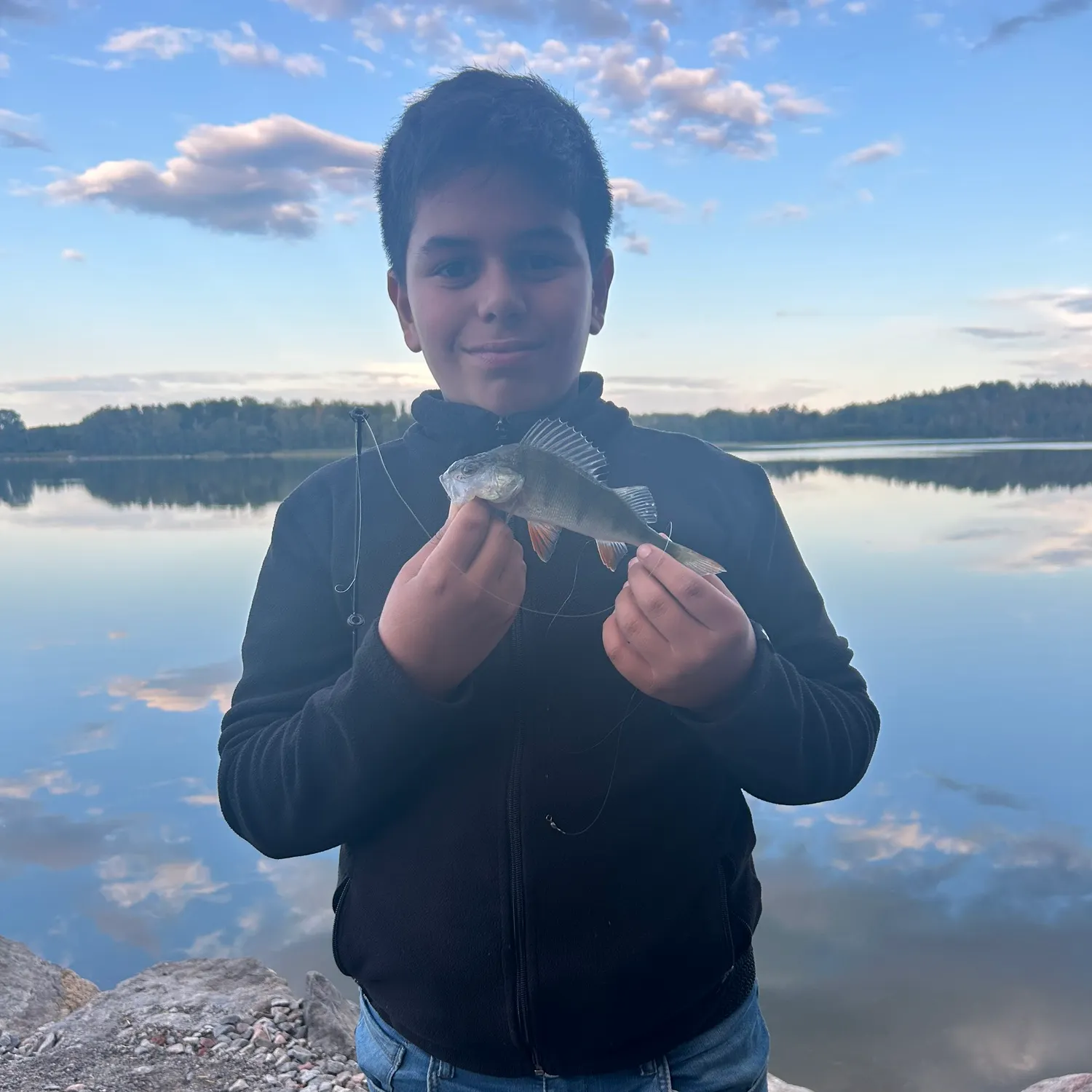 European perch caught on Fishbrain