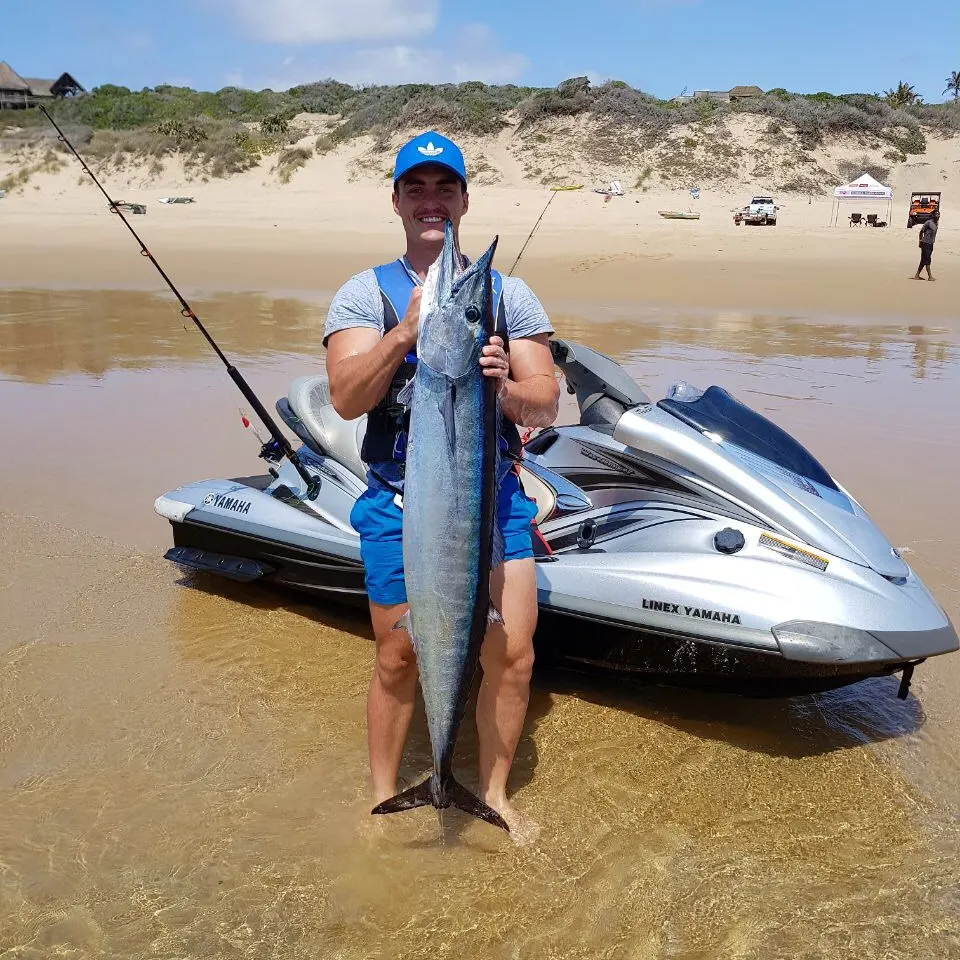 The most recent Wahoo catches on Fishbrain