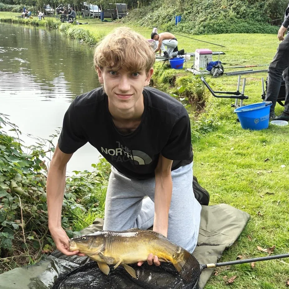 Mirror carp caught on Fishbrain