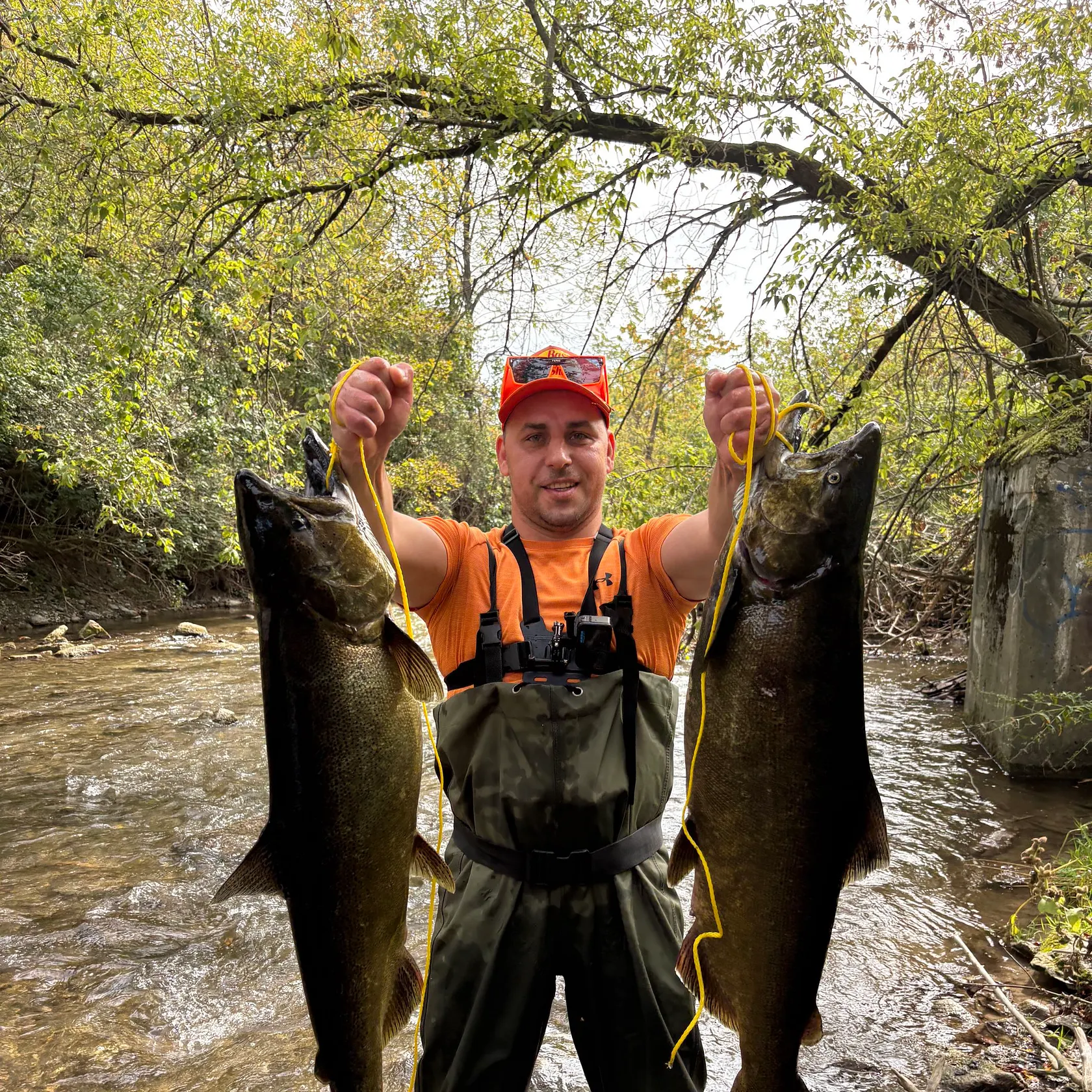 Atlantic salmon caught on Fishbrain
