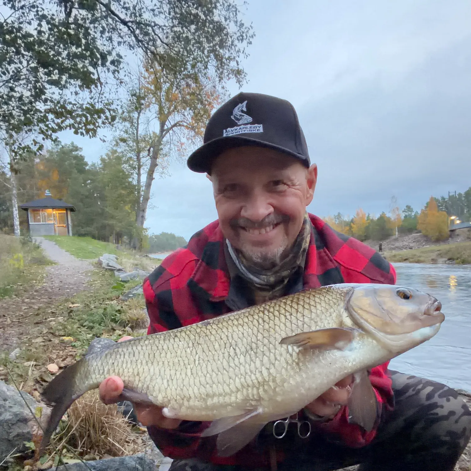 Ide caught on Fishbrain