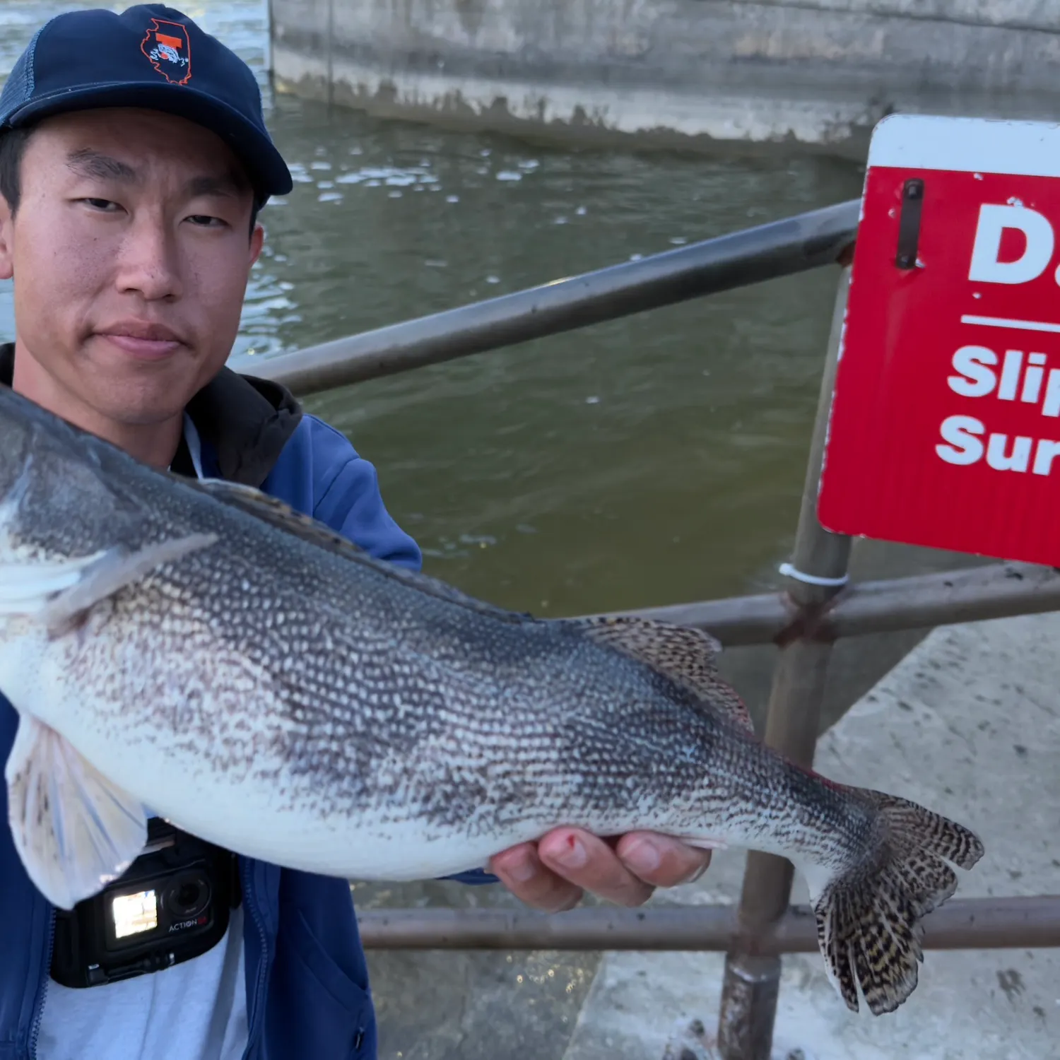 The most recent Sauger catches on Fishbrain