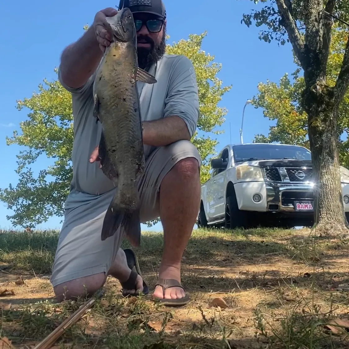 Channel catfish caught on Fishbrain