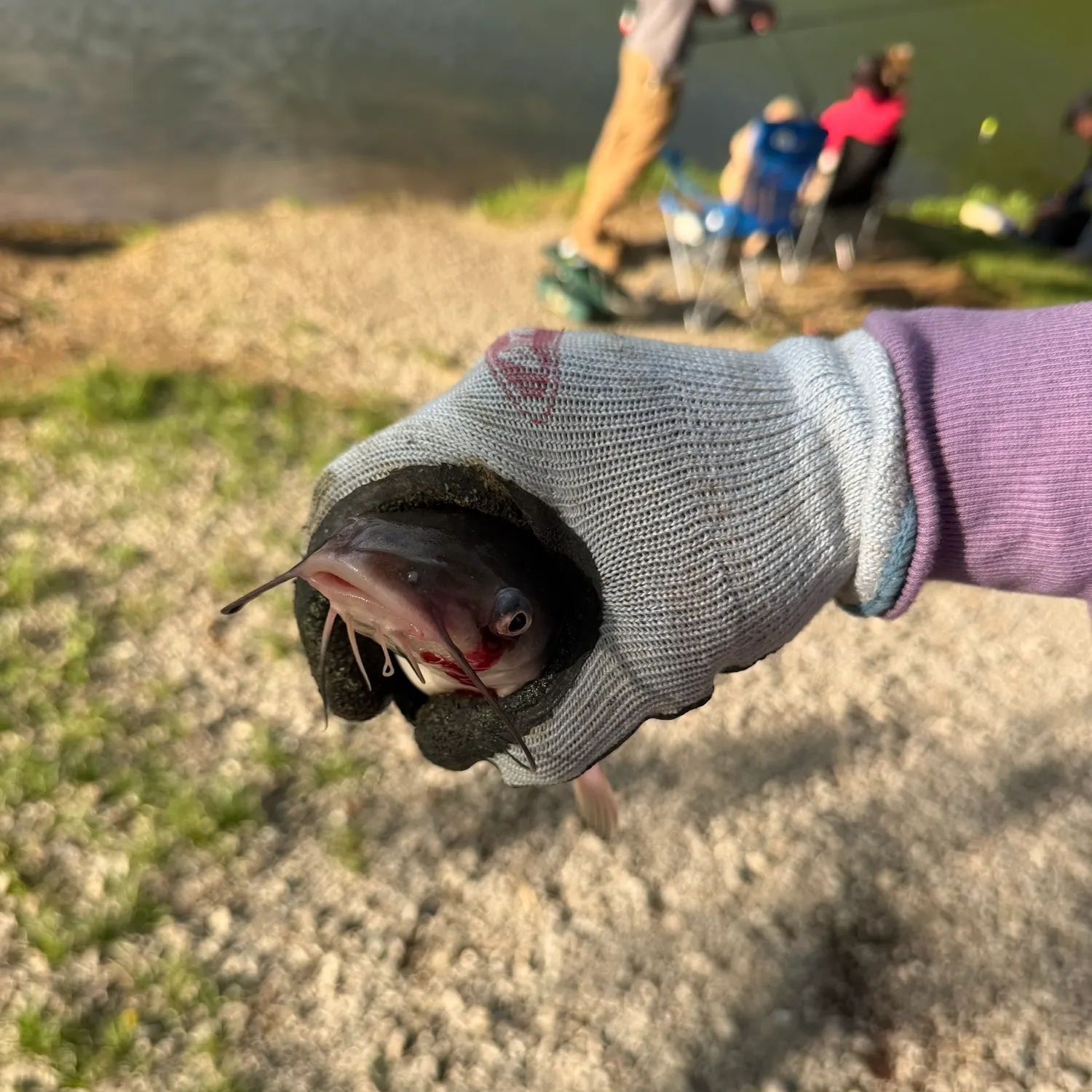 catch