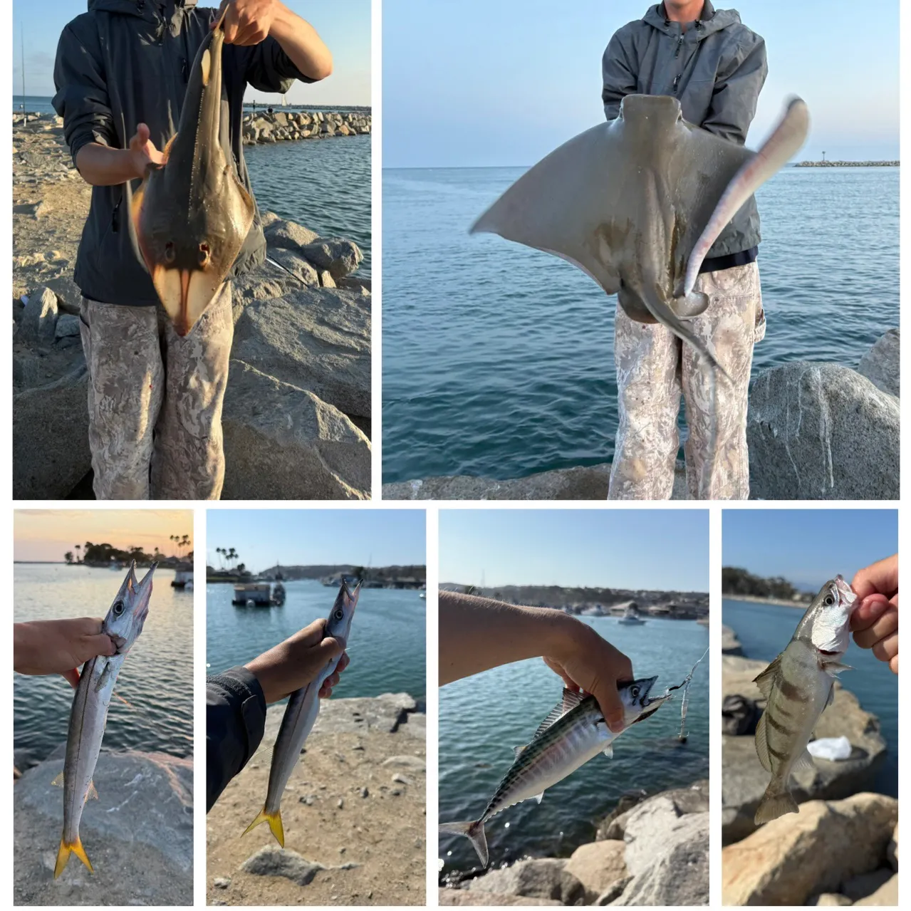 recently logged catches