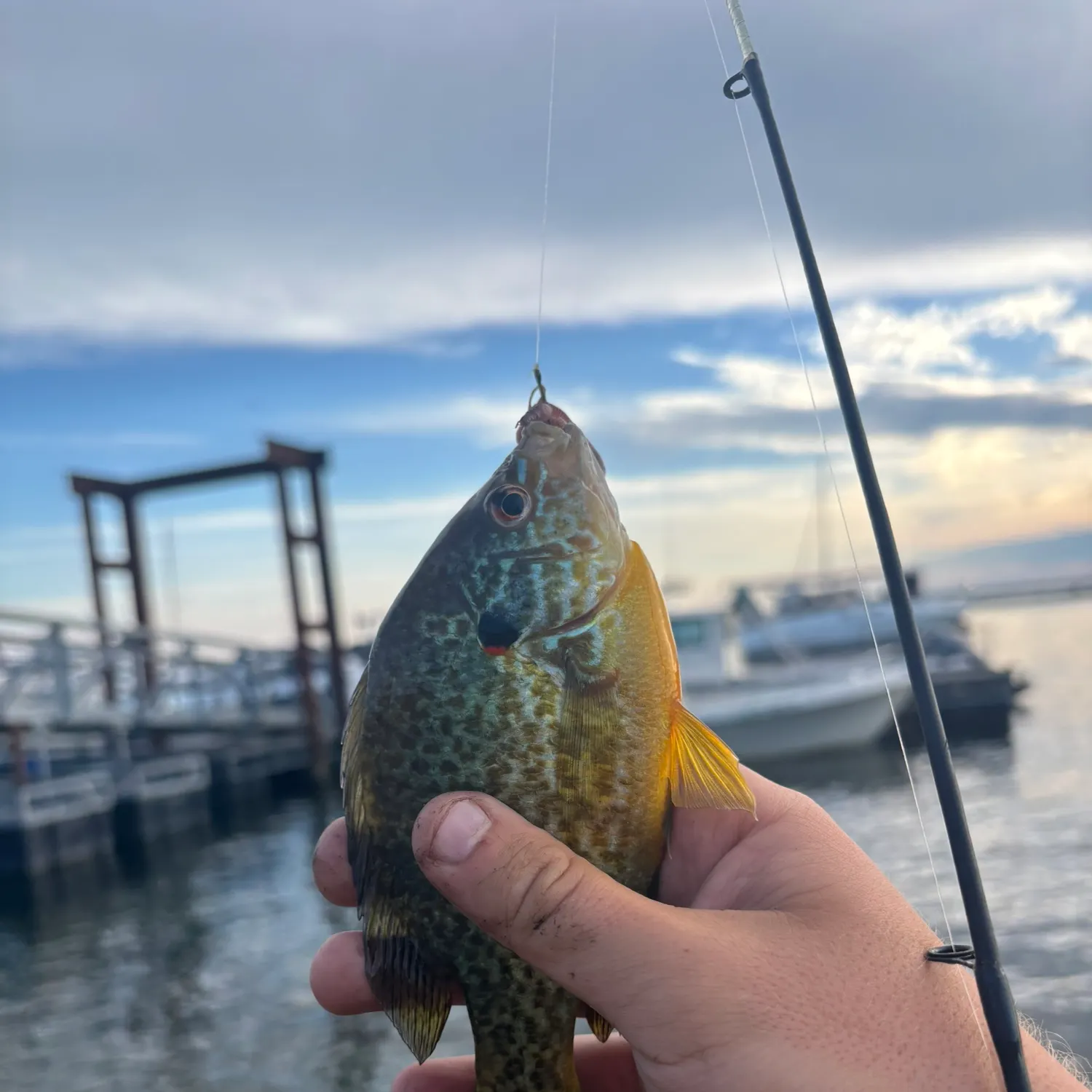 catch