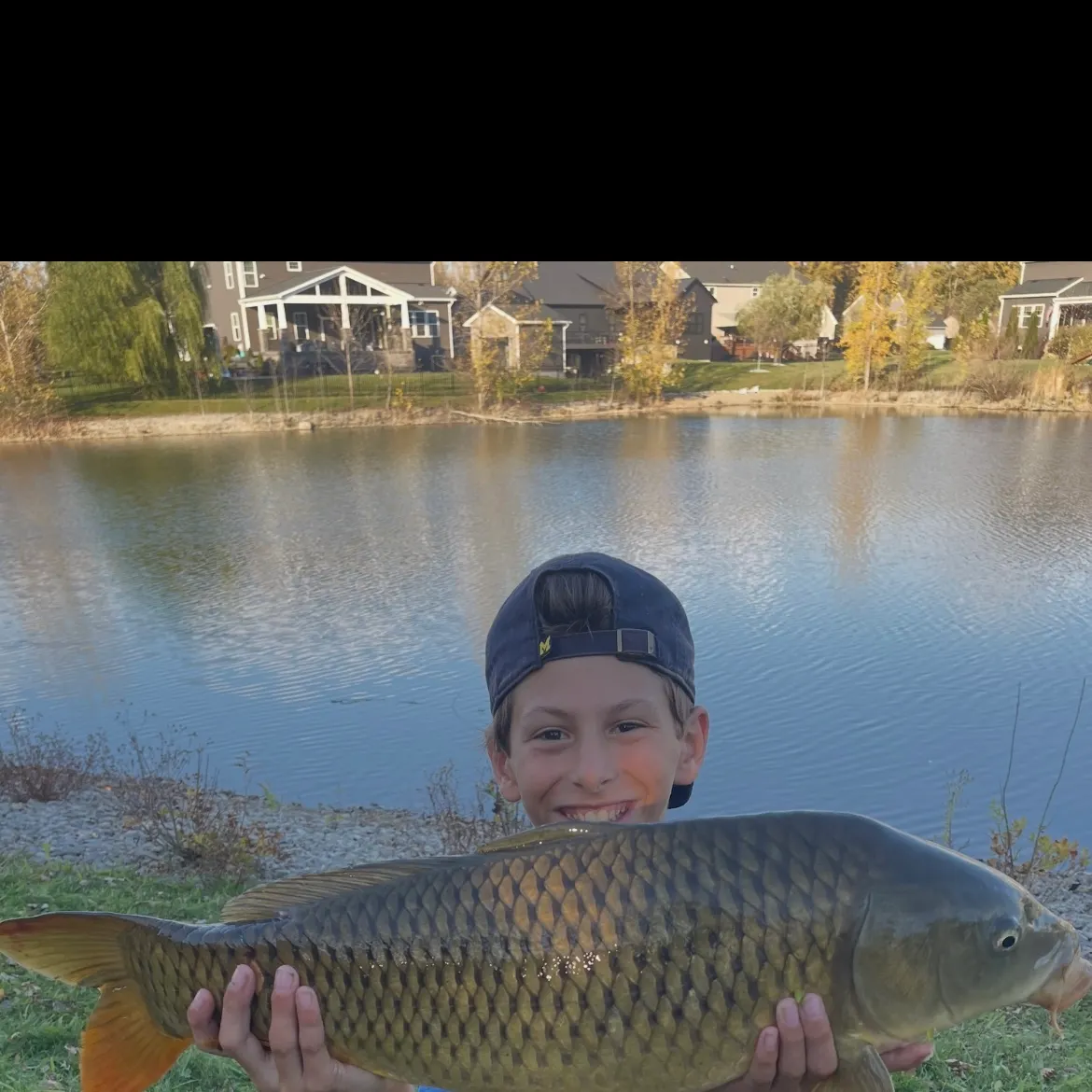 Common carp caught on Fishbrain