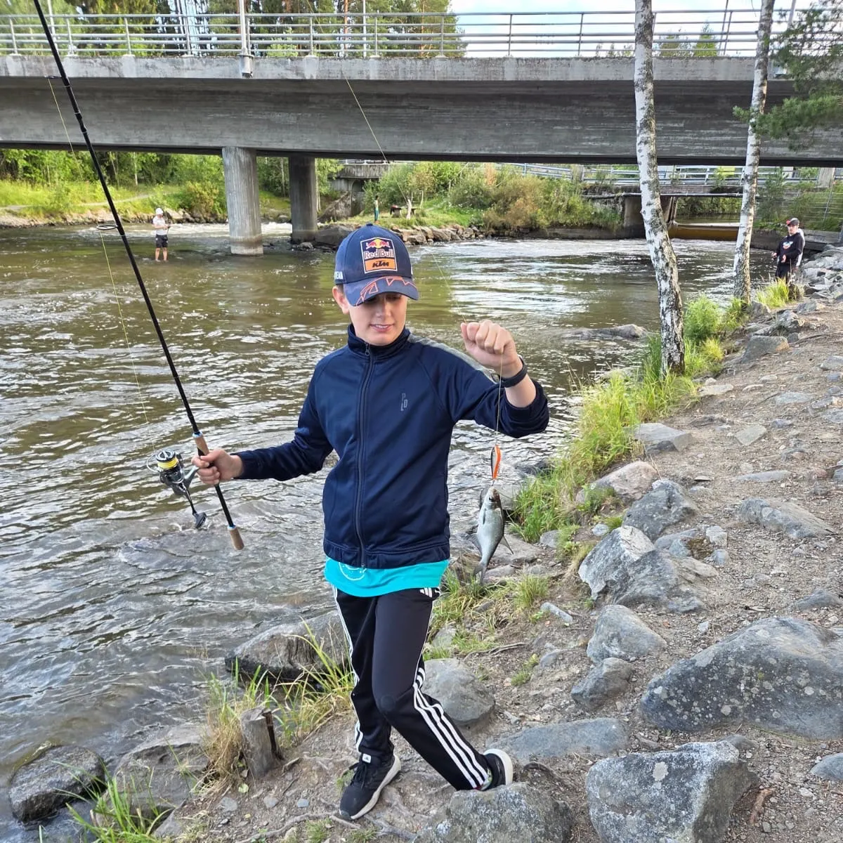 The most recent European flounder catches on Fishbrain