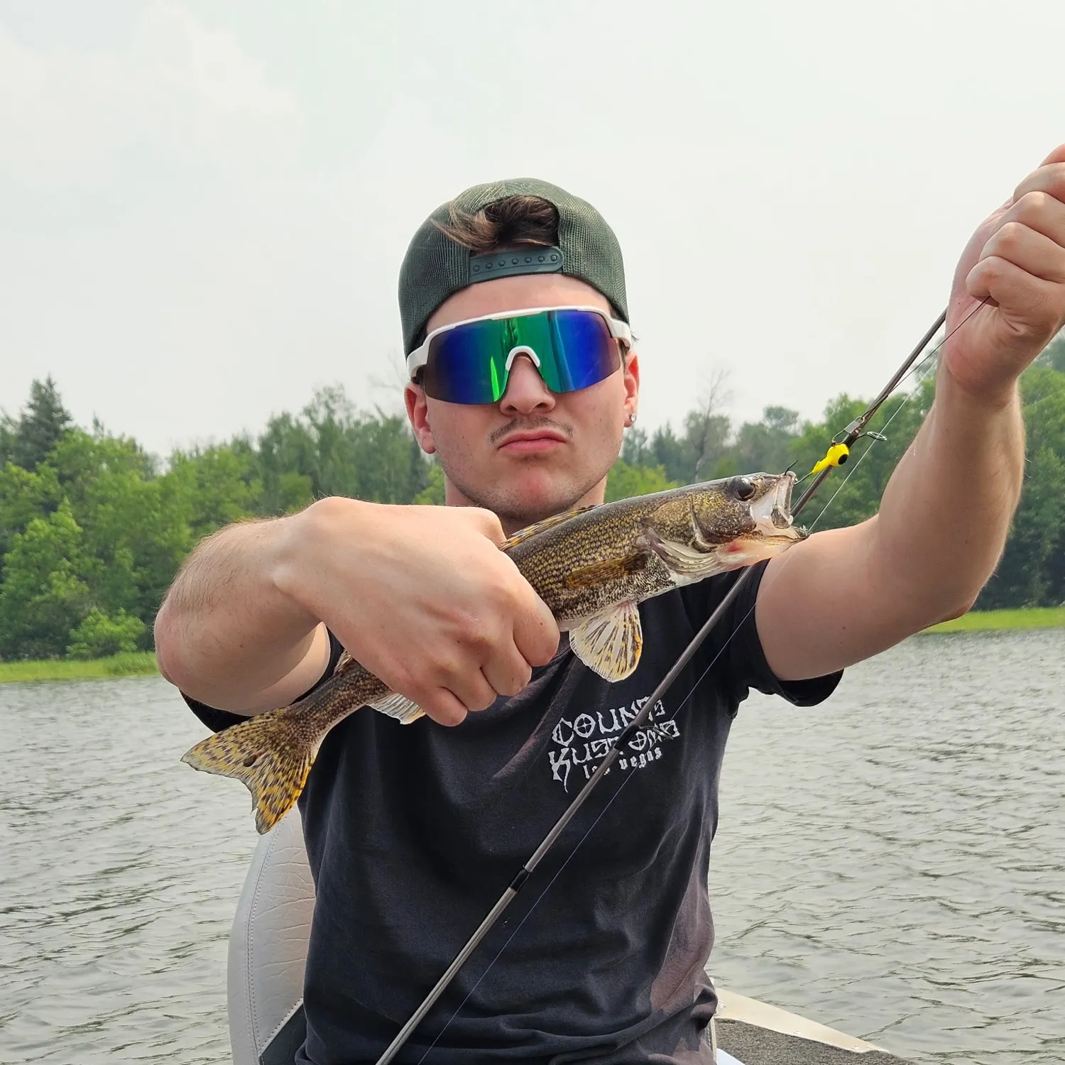 The most recent Grass pickerel catches on Fishbrain
