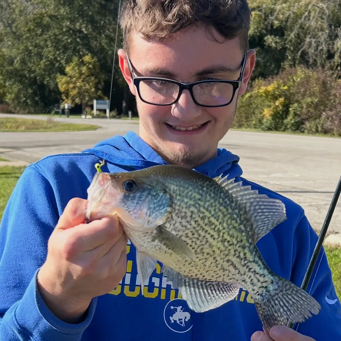 Black crappie caught on Fishbrain