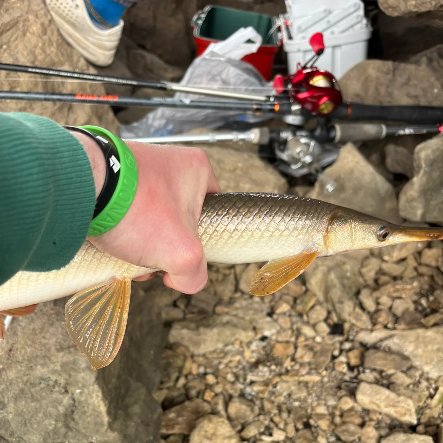 catch