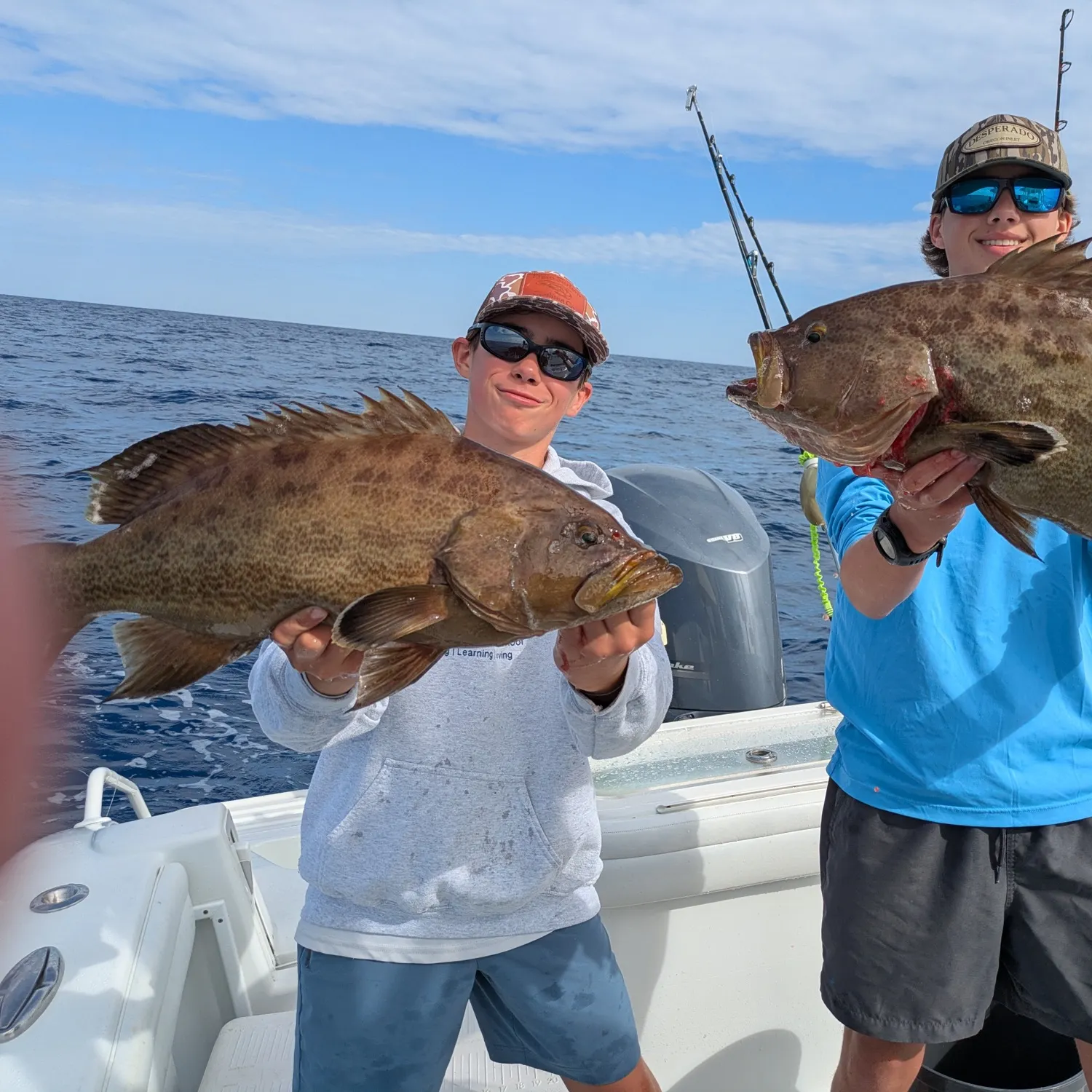 The most recent Scamp grouper catches on Fishbrain