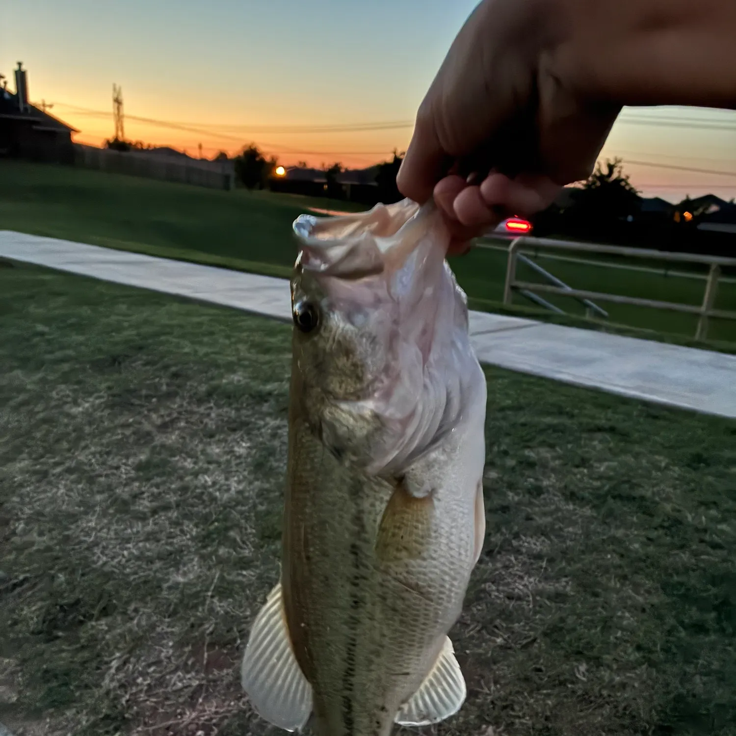 catch