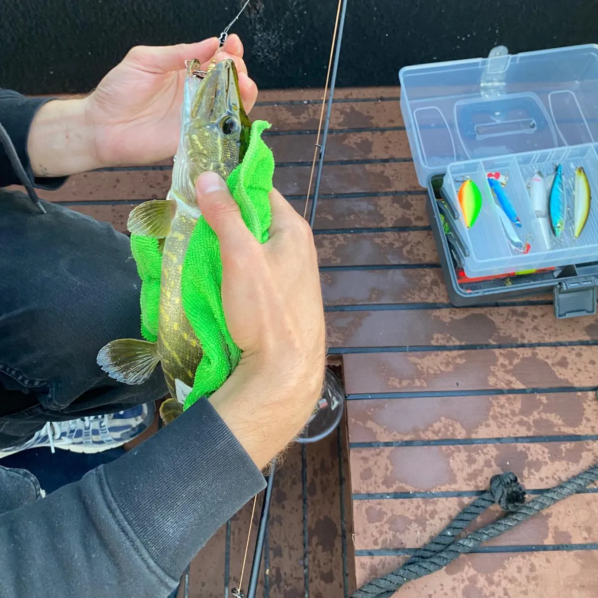 Northern pike caught on Fishbrain