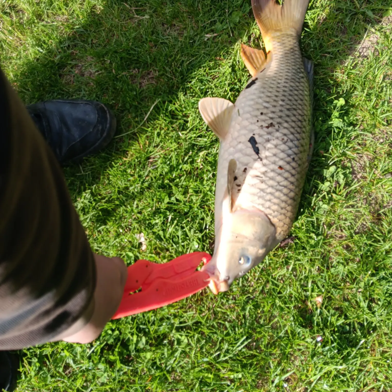 catch