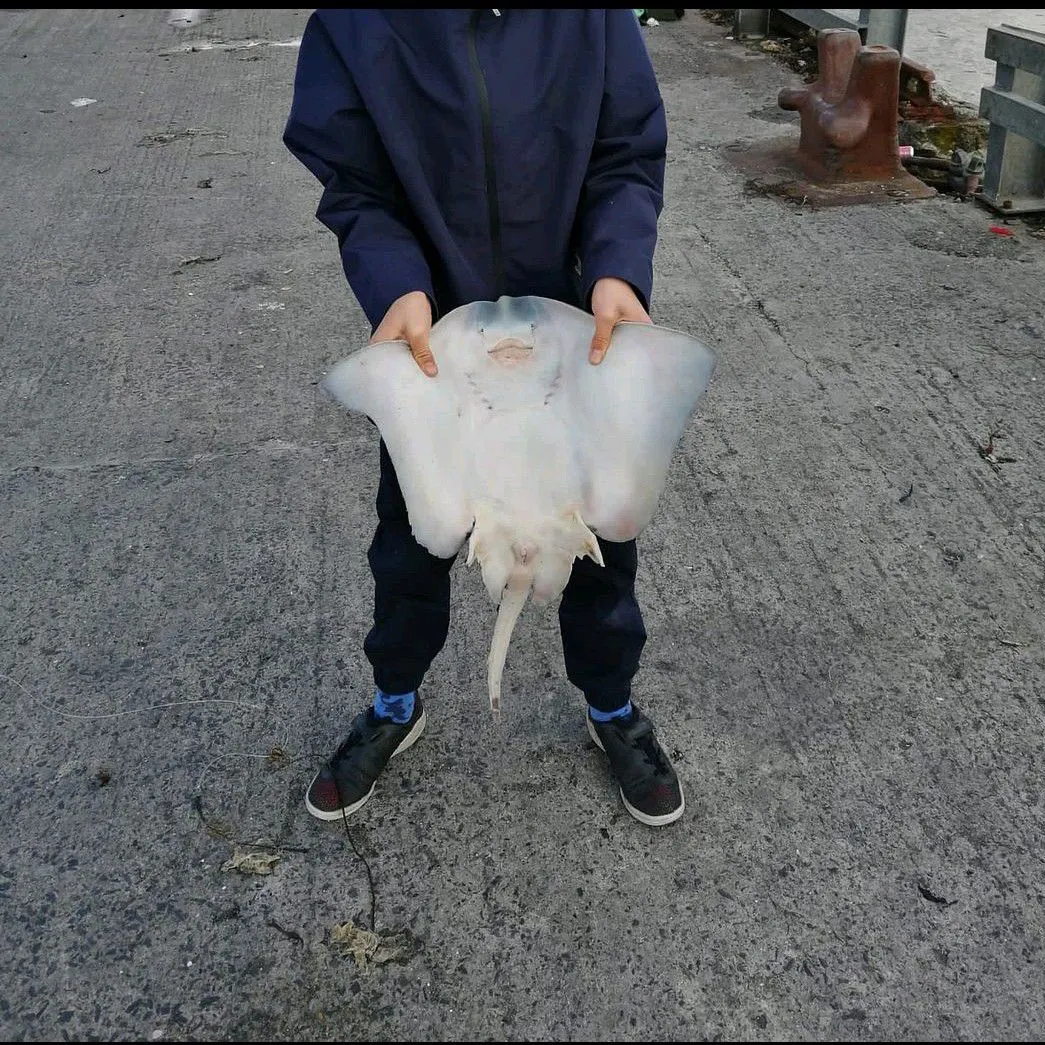 most liked catch image