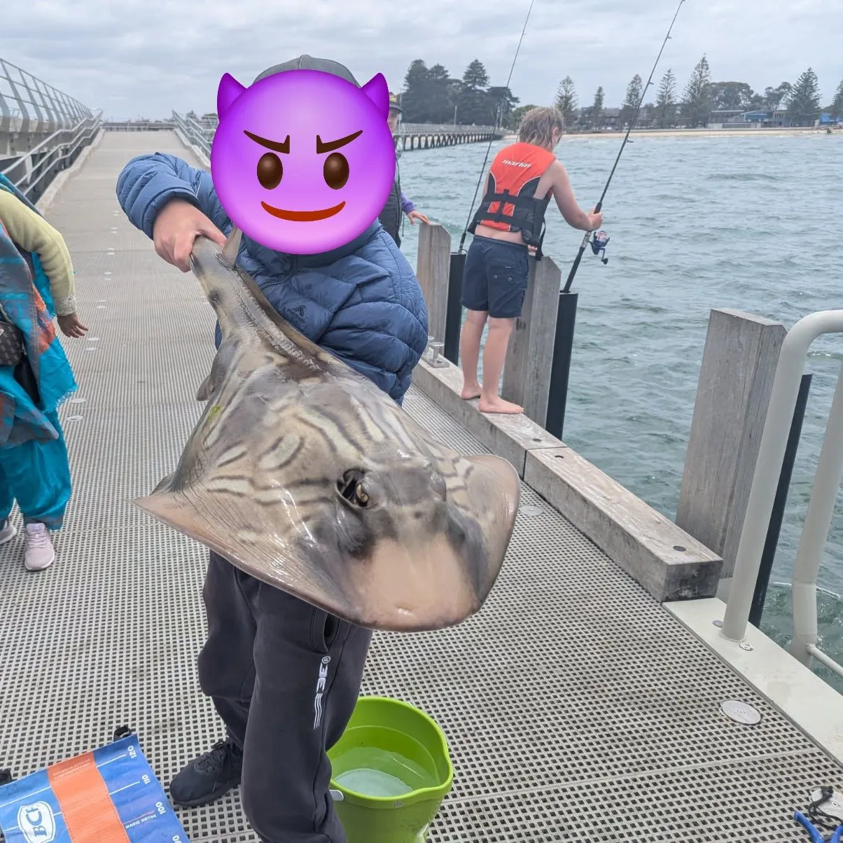 The most recent Southern fiddler catches on Fishbrain