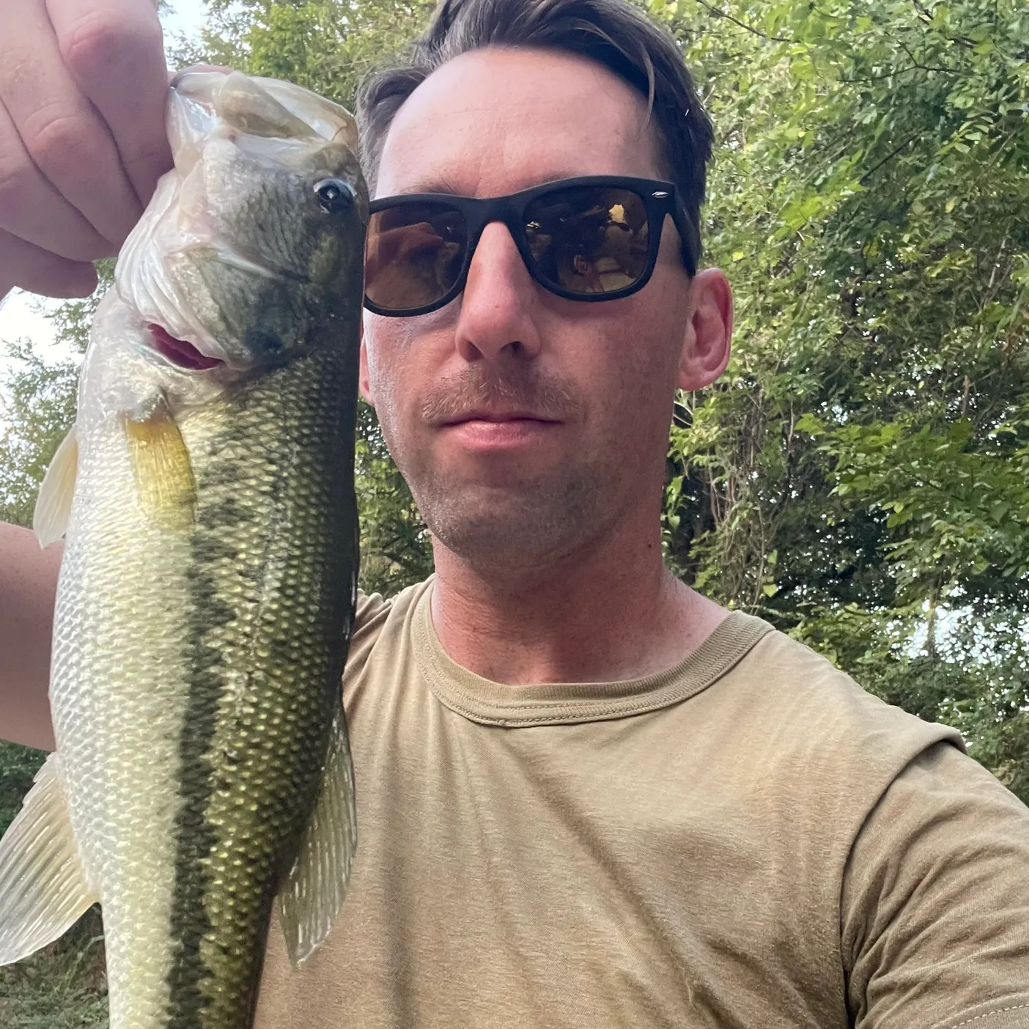 Largemouth bass caught on Fishbrain
