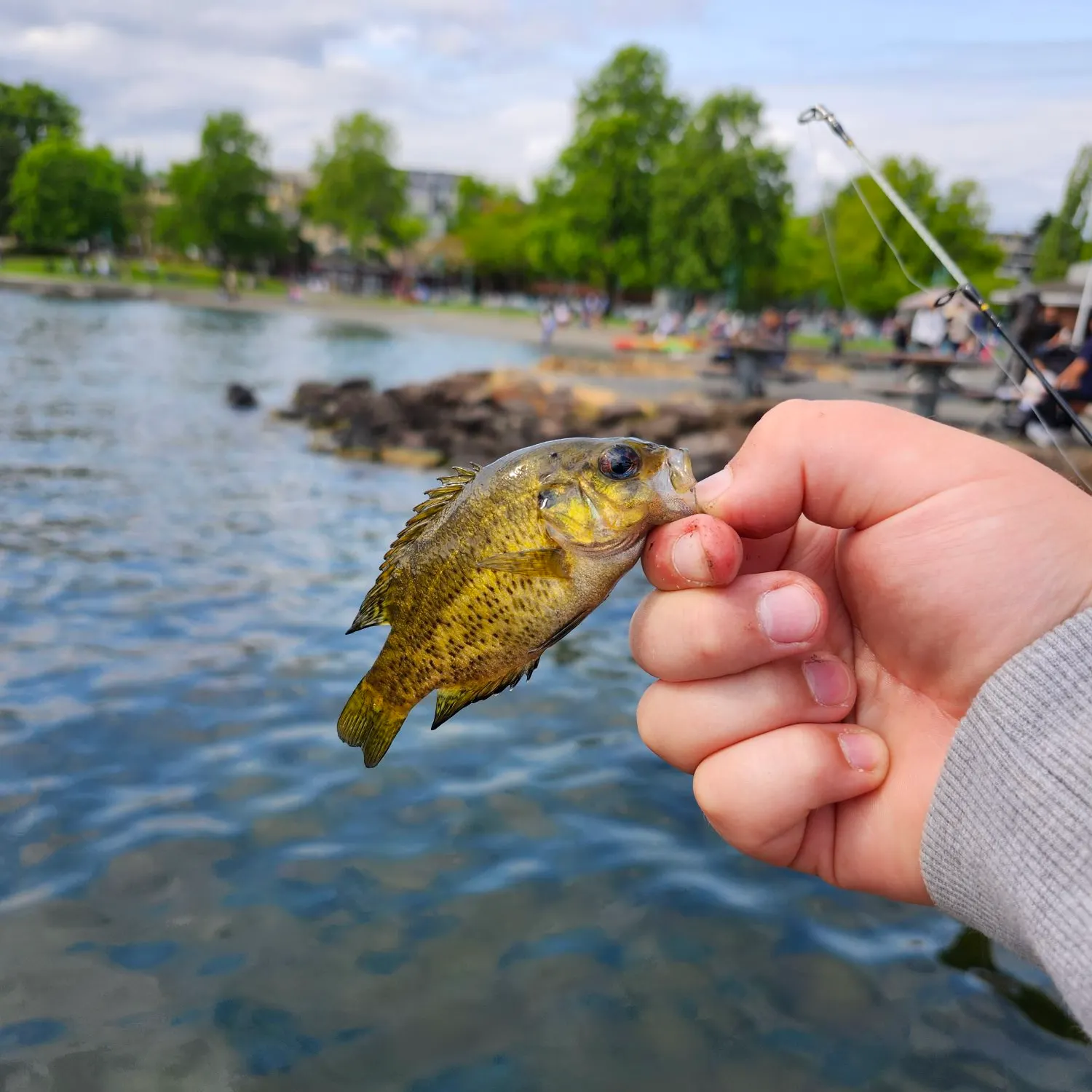 catch