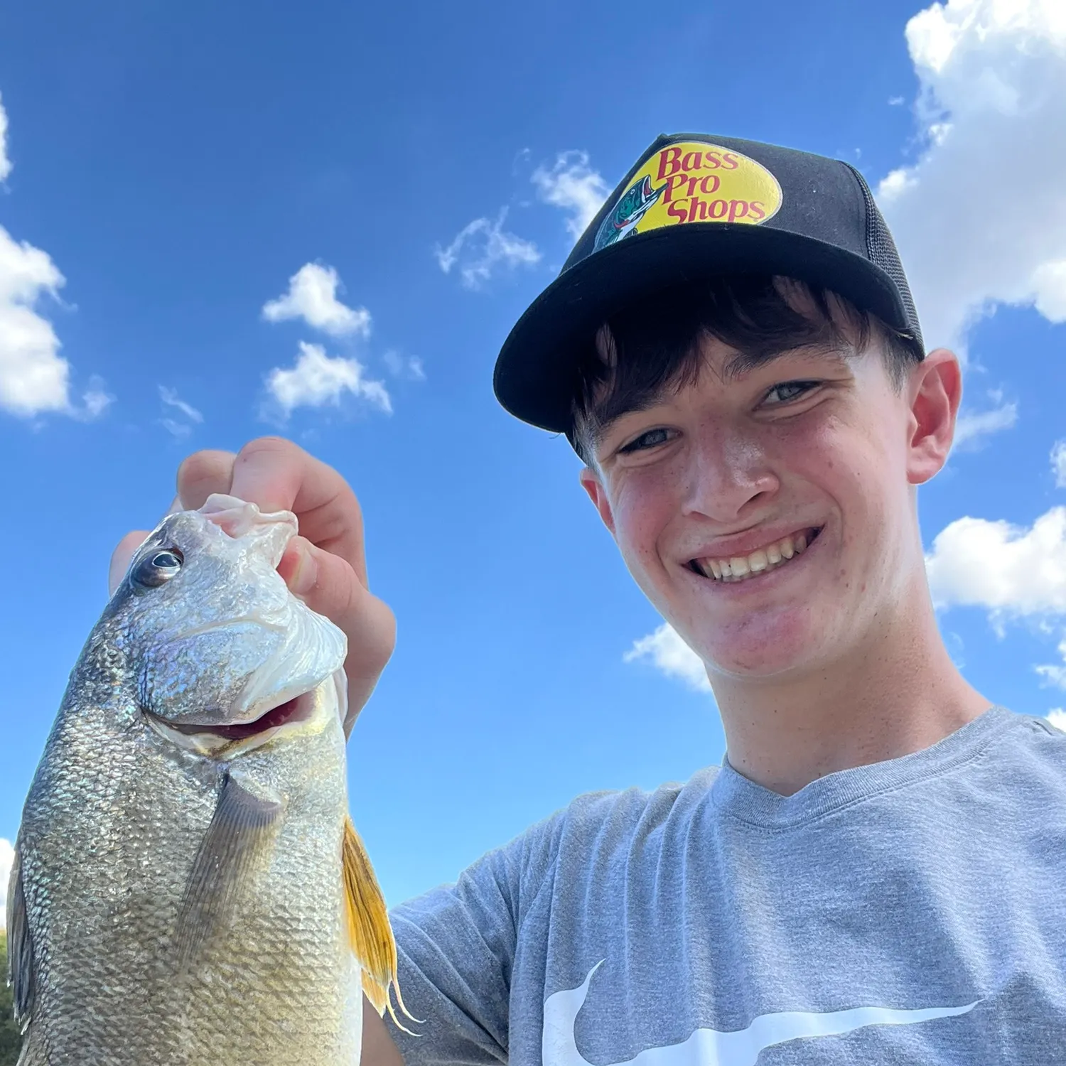 Freshwater drum caught on Fishbrain