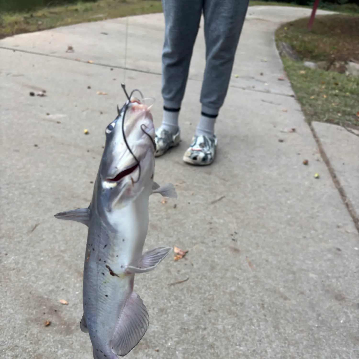 catch