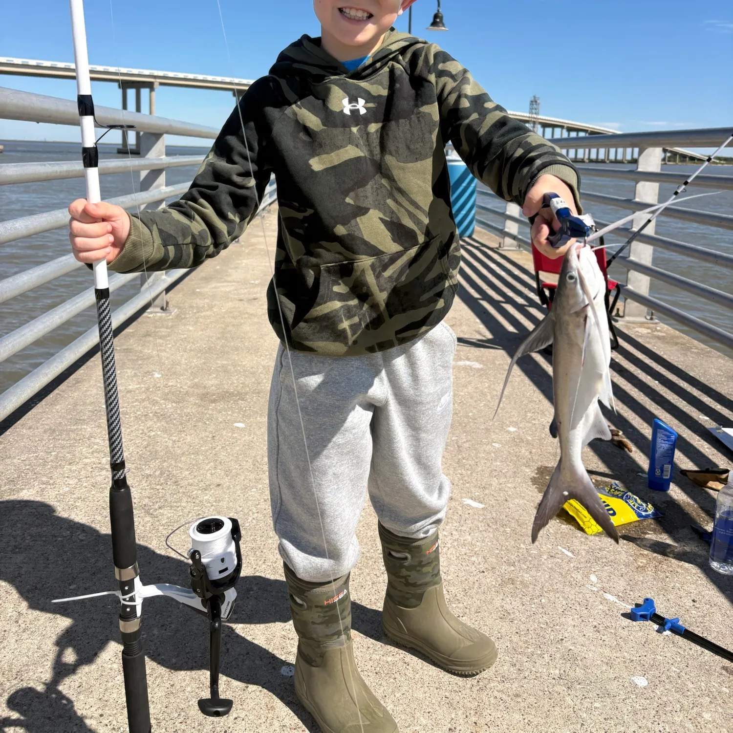 Gafftopsail sea catfish caught on Fishbrain