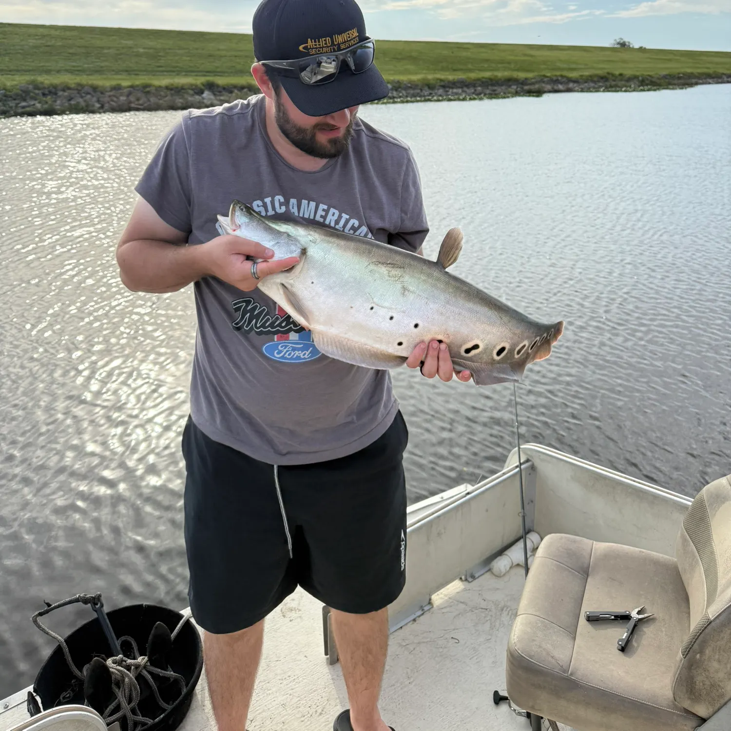 The most recent Clown knifefish catches on Fishbrain