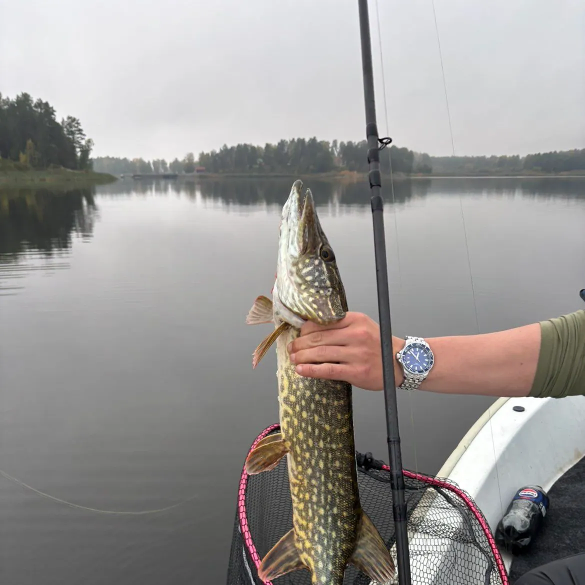 Northern pike caught on Fishbrain