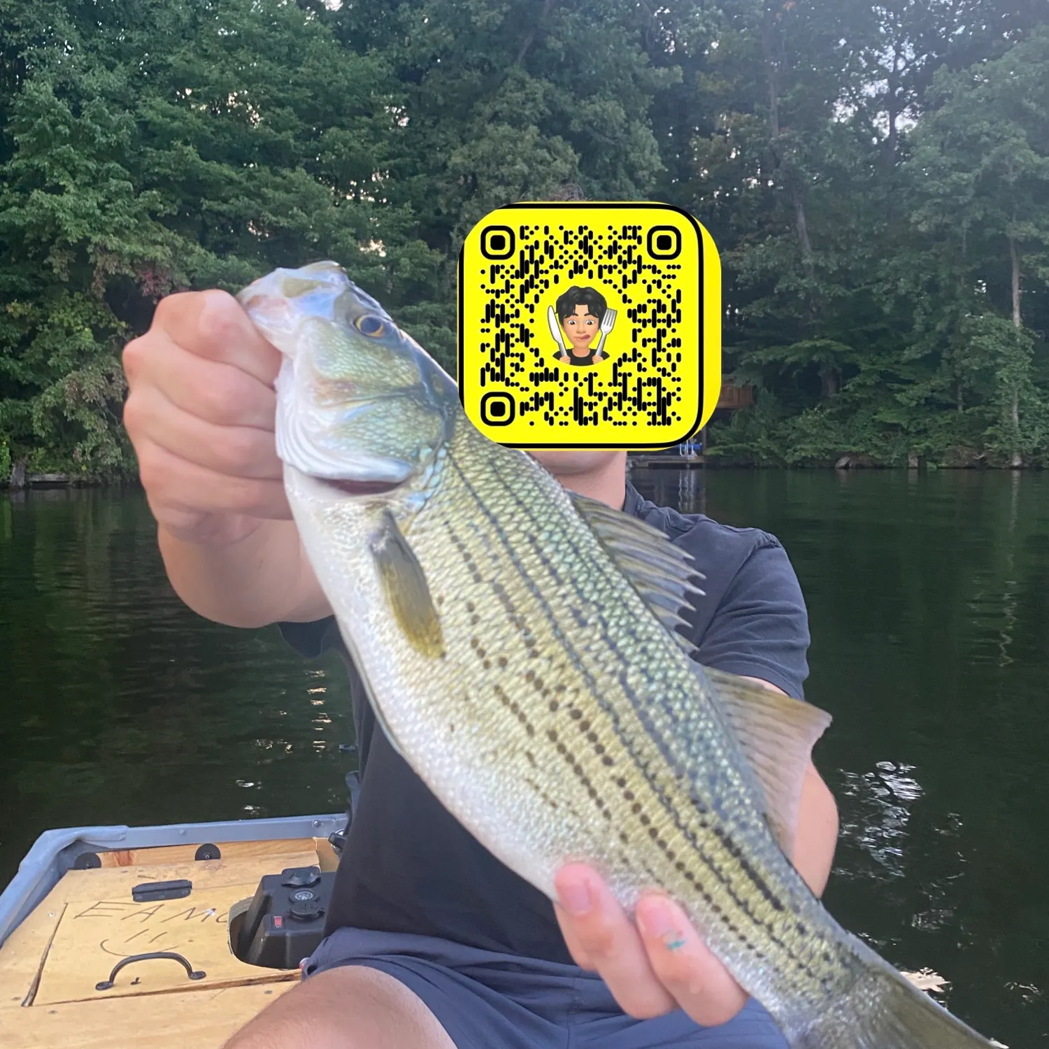Wiper caught on Fishbrain