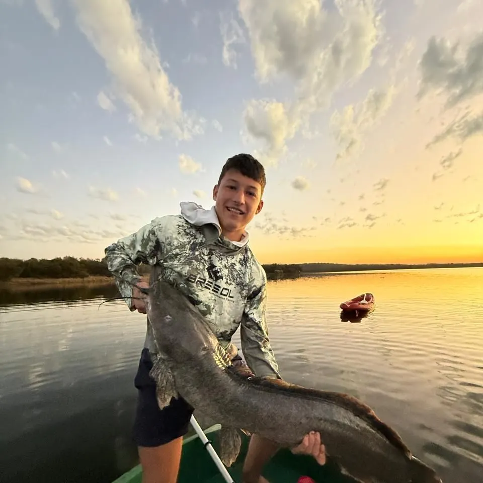 The most recent North African catfish catches on Fishbrain