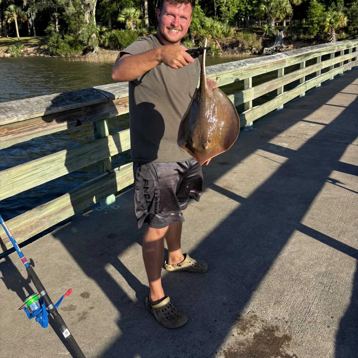 The most recent Atlantic stingray catches on Fishbrain