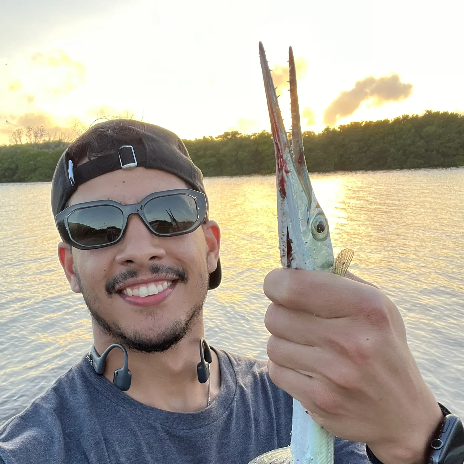 The most recent Atlantic needlefish catches on Fishbrain