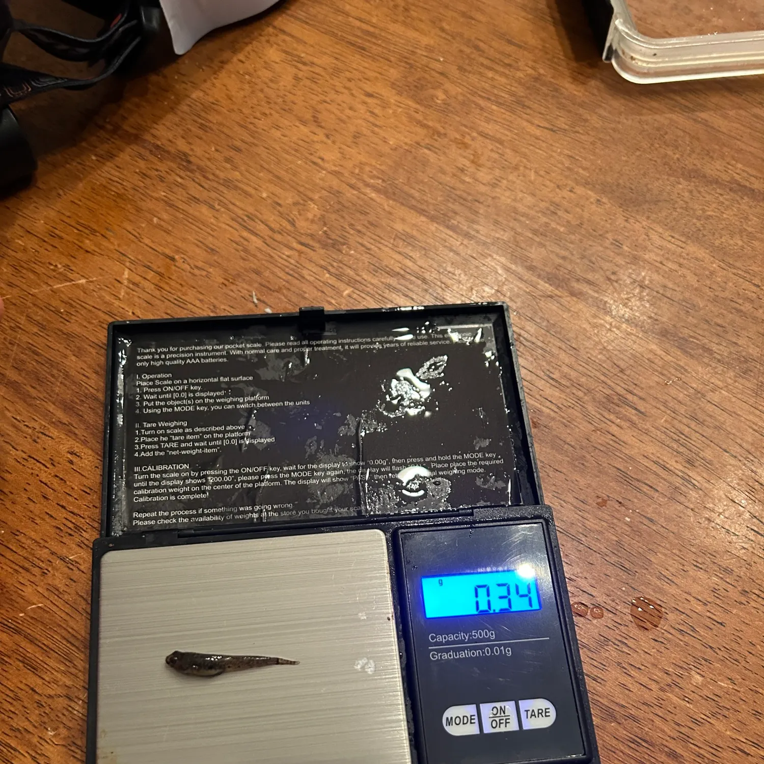 recently logged catches