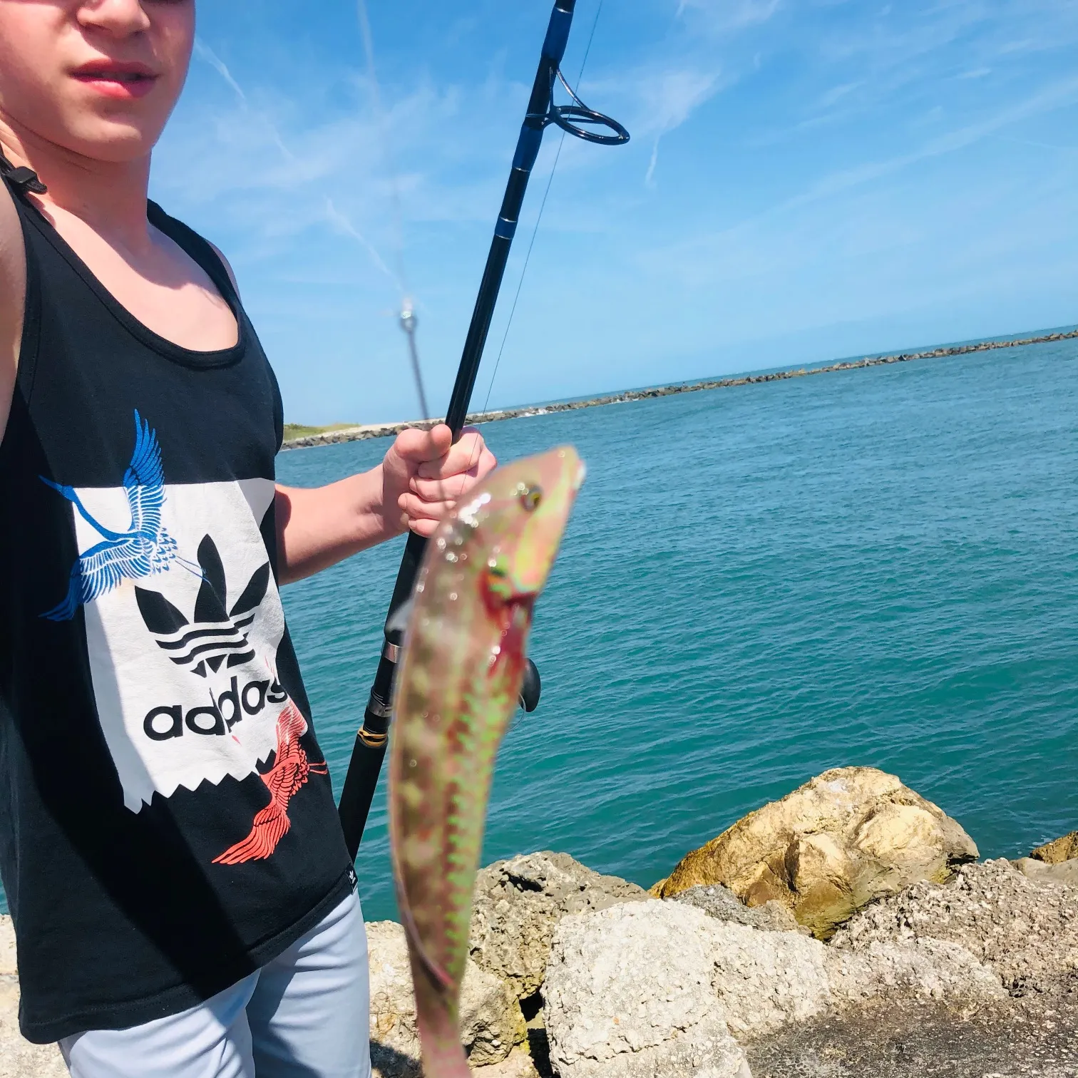 most liked catch image