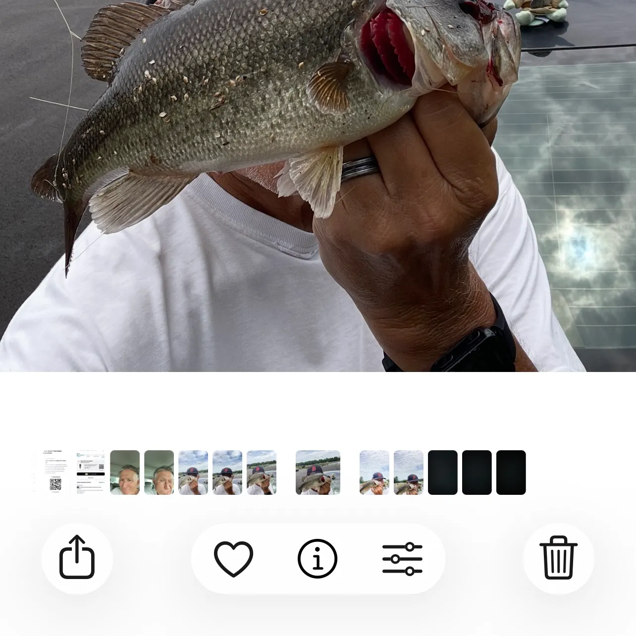 recently logged catches