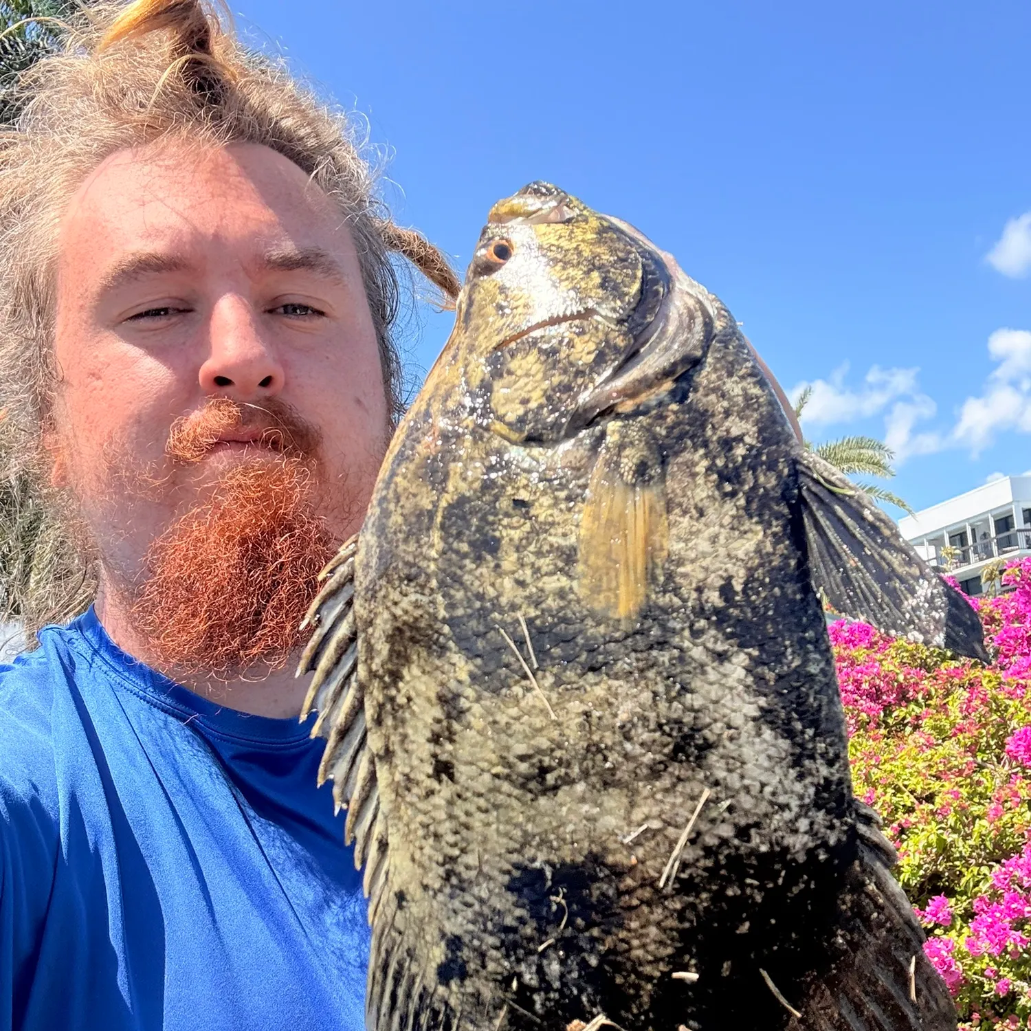 The most recent Atlantic tripletail catches on Fishbrain