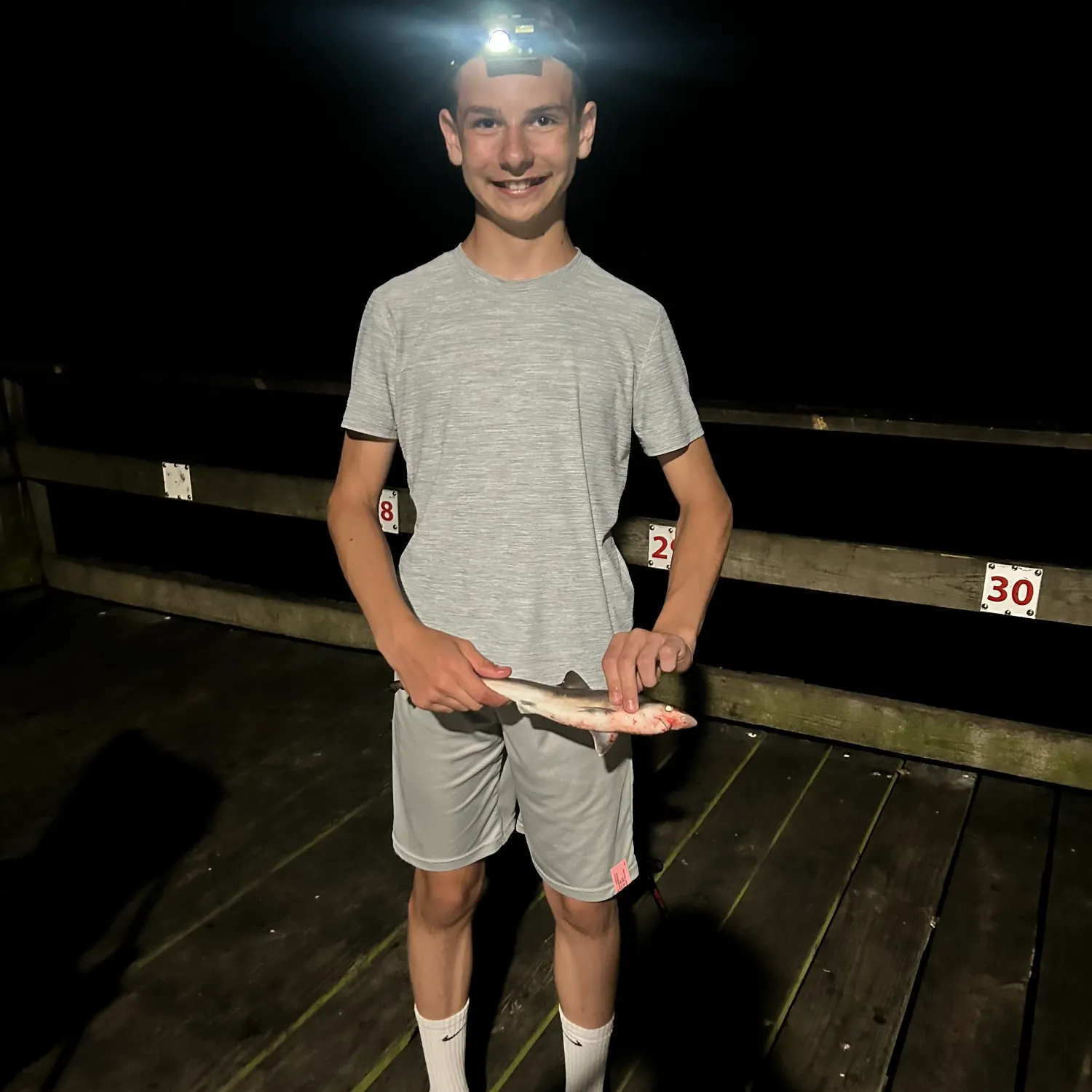 The most recent Dusky shark catches on Fishbrain