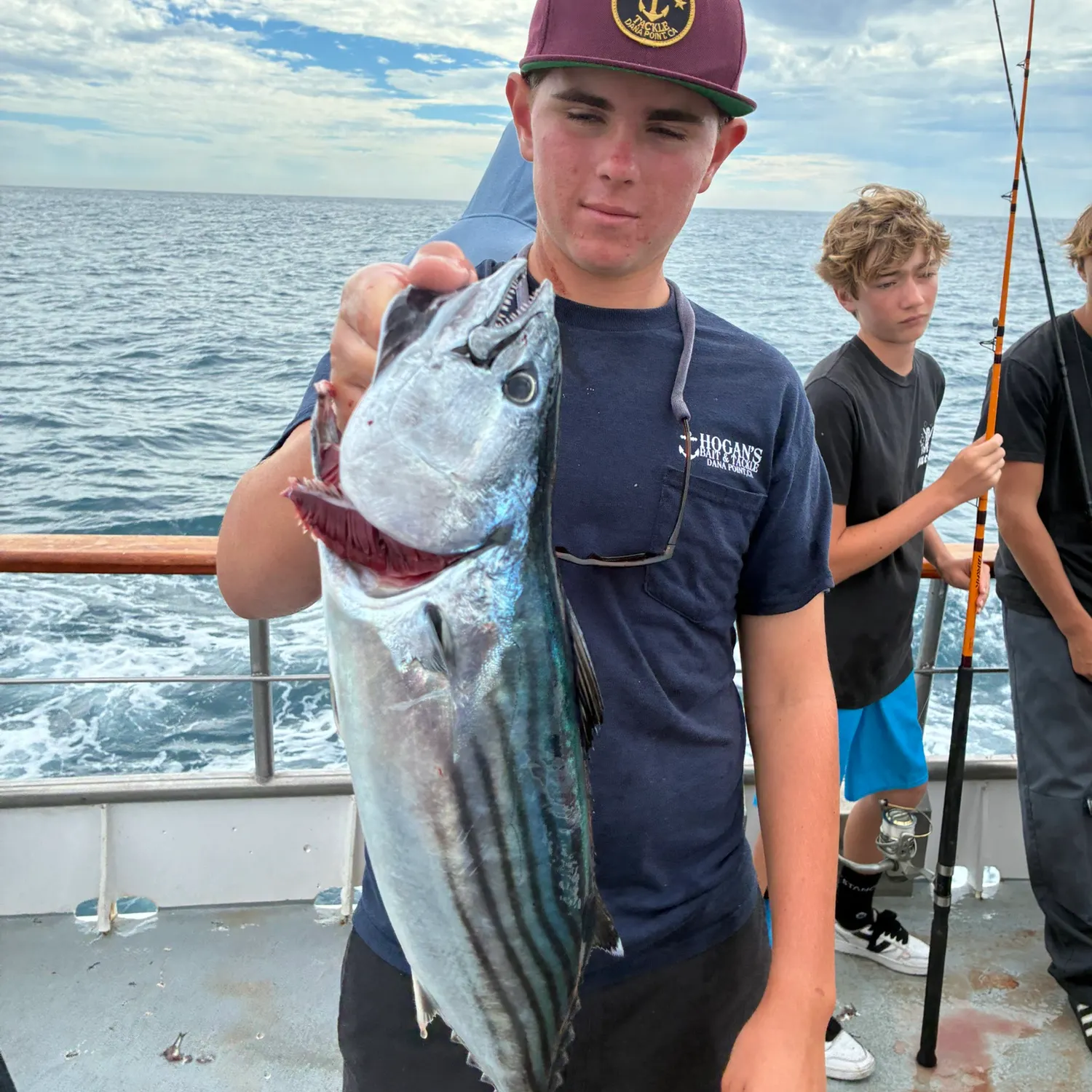 Pacific bonito caught on Fishbrain